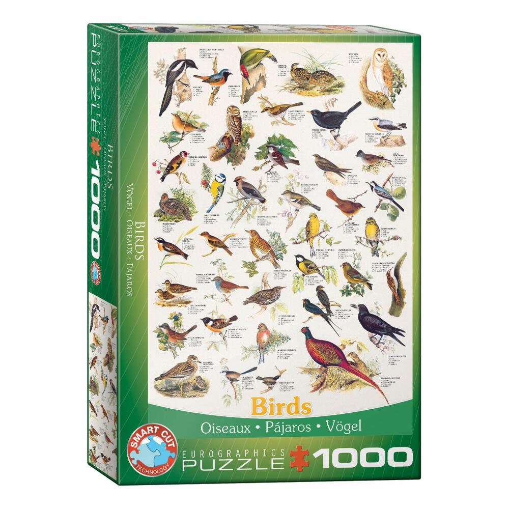 EUROGRAPHICS Puzzle Vögel, 1000 Puzzleteile