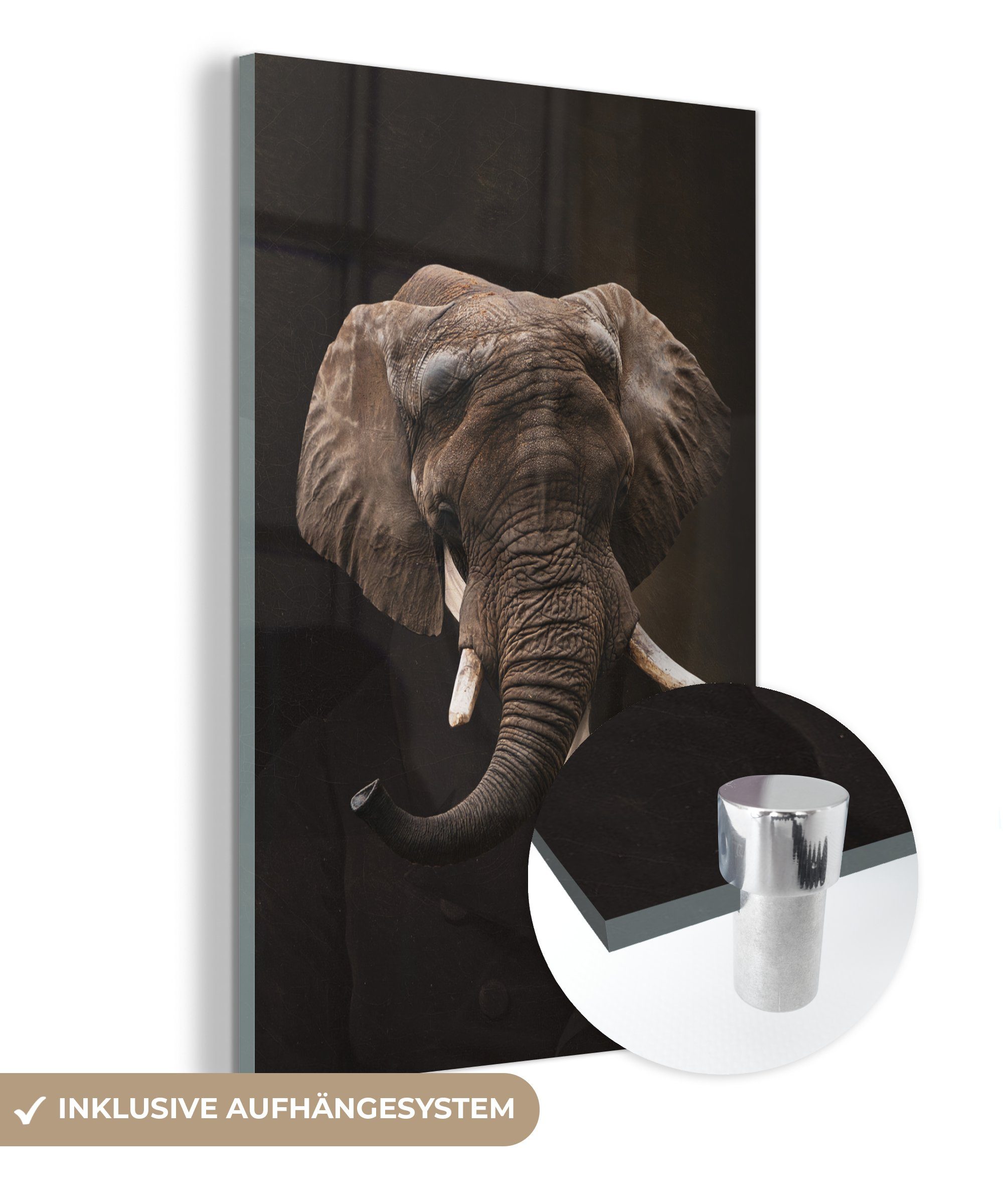 Wanddekoration Glasbilder - Bilder Glas Alte auf St), (1 Tiere, MuchoWow auf - Meister Elefant - - - bunt Wandbild Foto Acrylglasbild Glas