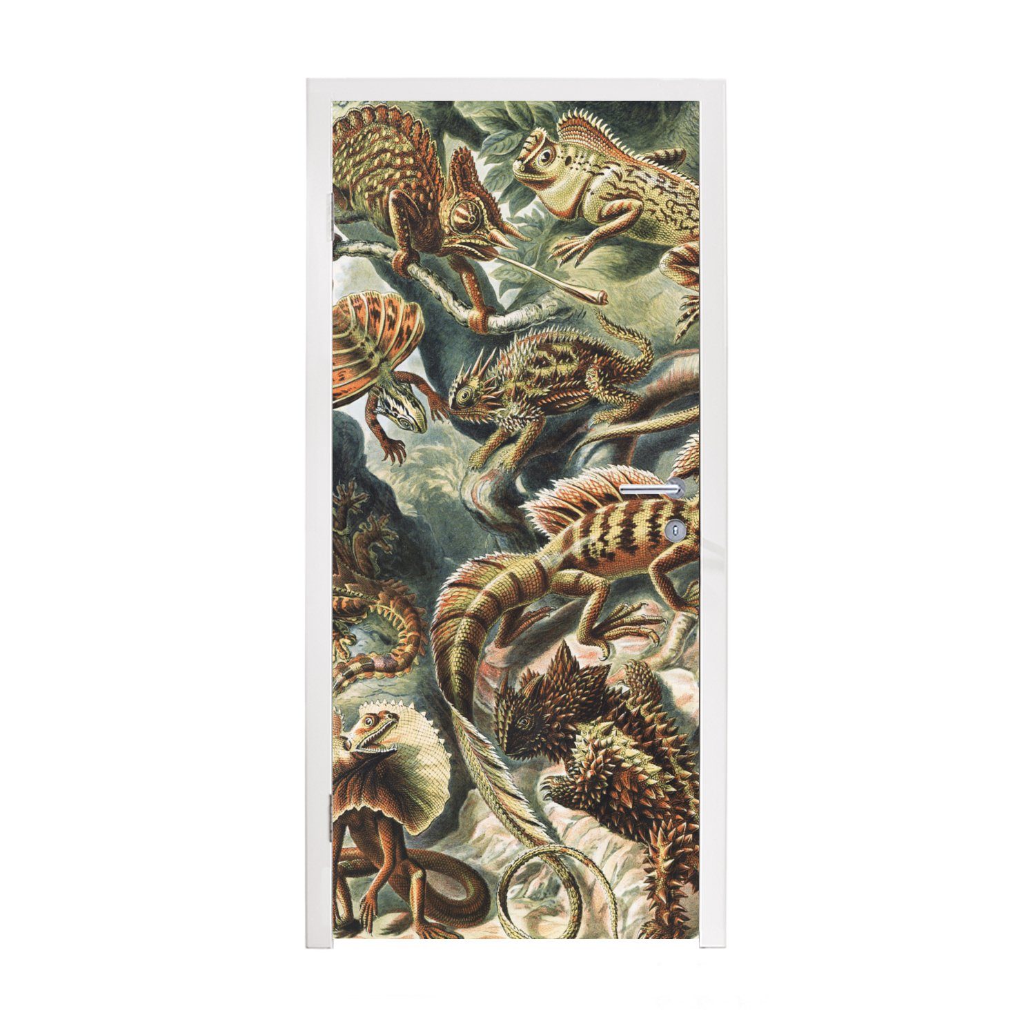 MuchoWow Türtapete Jahrgang - Kunst - Ernst Haeckel - Salamander - Tiere, Matt, bedruckt, (1 St), Fototapete für Tür, Türaufkleber, 75x205 cm
