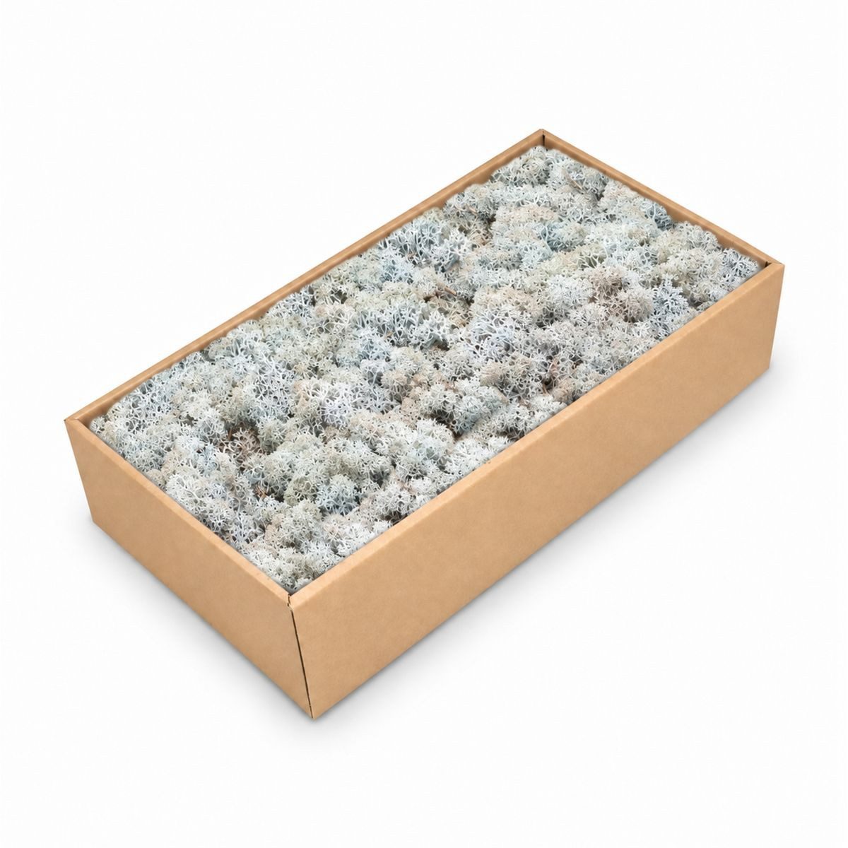 NaDeco Bastelnaturmaterial Islandmoos Eisblau 500g
