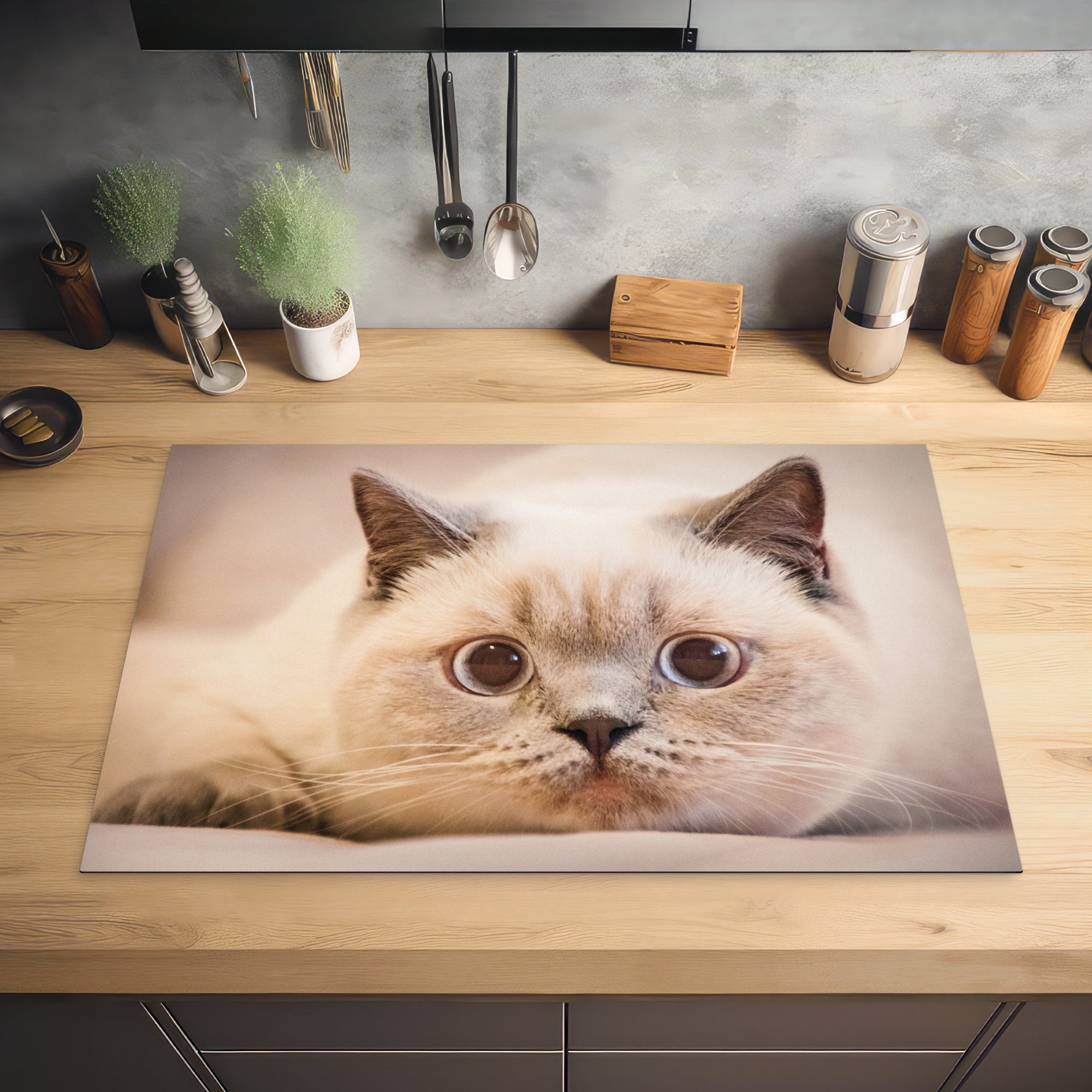 küche, 81x52 - MuchoWow - Schutz Großaufnahme, für tlg), die Ceranfeldabdeckung Katze Induktionskochfeld Weiß Vinyl, cm, Herdblende-/Abdeckplatte (1