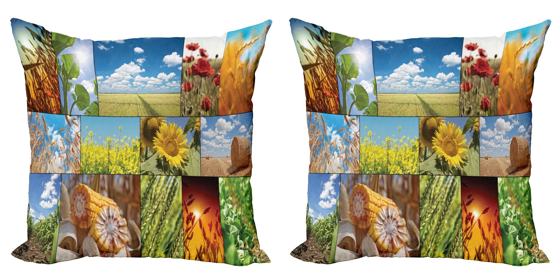 Kissenbezüge Modern Accent Doppelseitiger Digitaldruck, Abakuhaus (2 Stück), Natur Sunflower Getreide Weizen