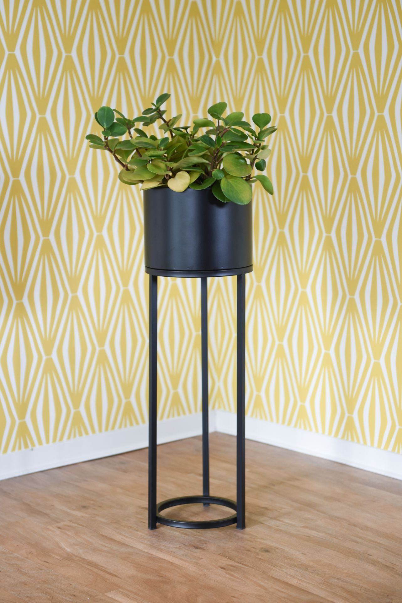 Thumbnail - VIVANNO Blumentopf pulverbeschichtetes Stahlblech ELEVATE ROUND Rund - Schwarz Matt (1 St), 25x79 cm
