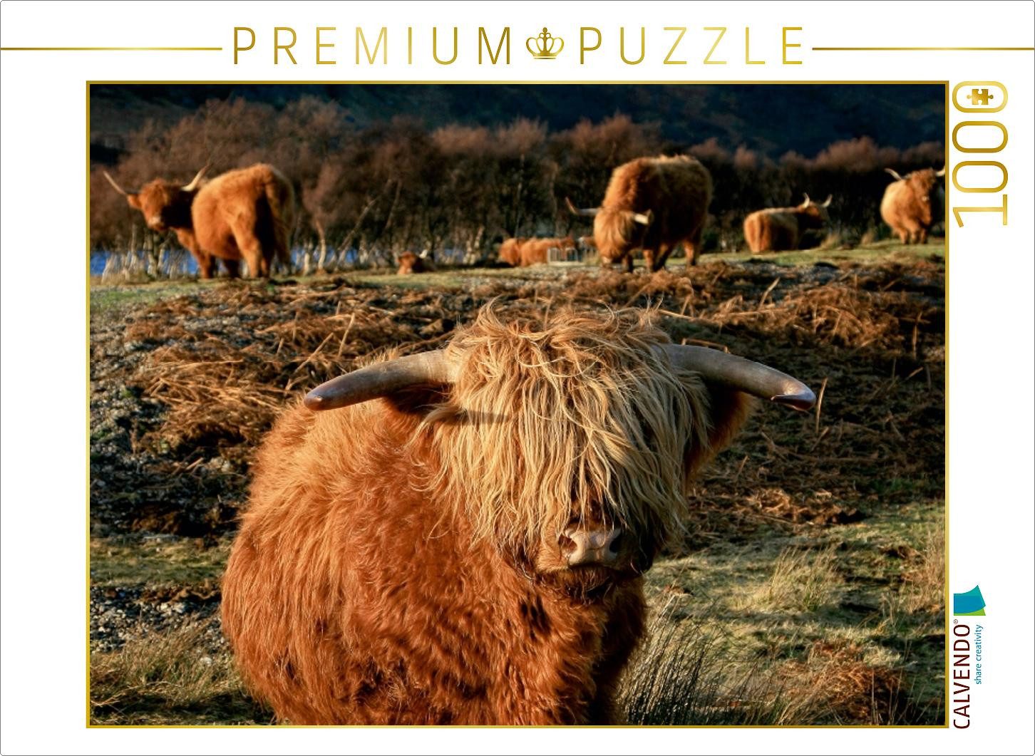 CALVENDO Puzzle CALVENDO Puzzle Schottisches Hochland Rind, 1000 Teile Lege-Größe 64x, 1000 Puzzleteile