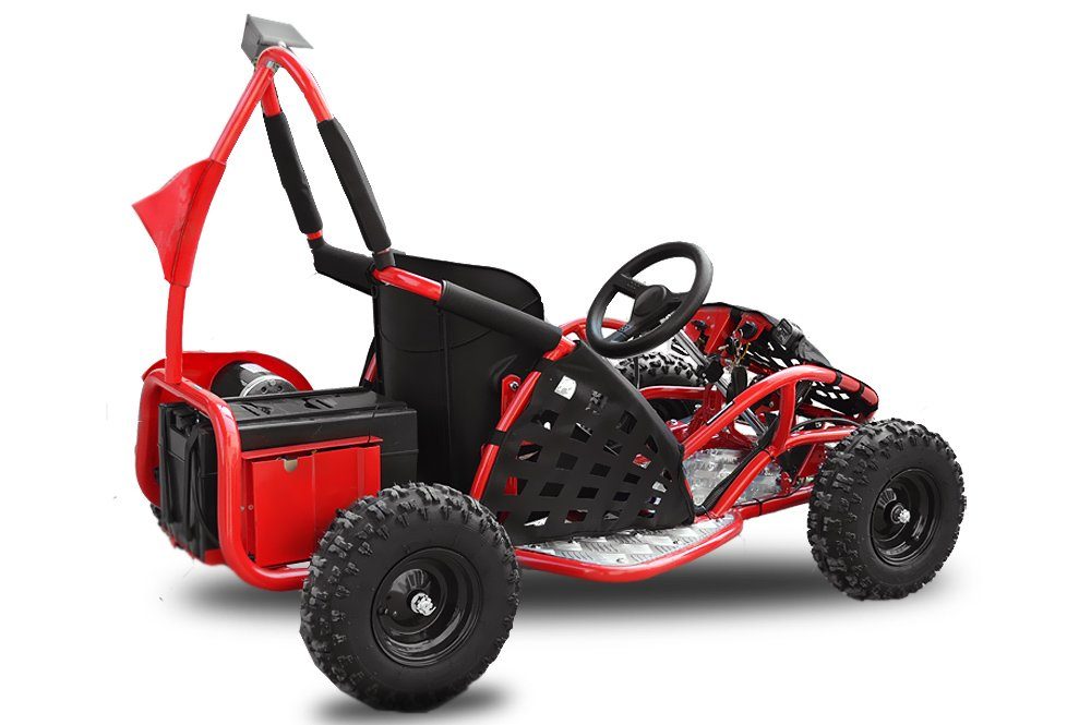 Smarty Elektro-Kinderquad 1000W Eco Buggy GoKid 6 Zoll 48V