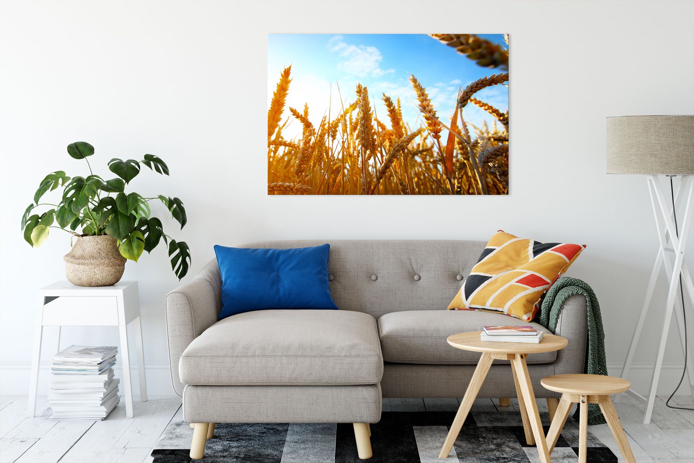 fertig Leinwandbild Sonnenschein, Leinwandbild Zackenaufhänger im Sonnenschein im Getreide Pixxprint St), Getreide (1 inkl. bespannt,