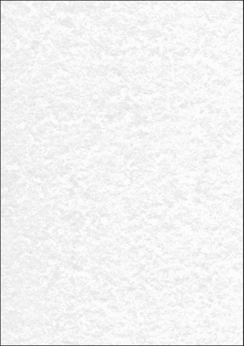 Sigel Designpapier Designpapier Struktur A4 200g/qm Perga grau VE=50 Blatt