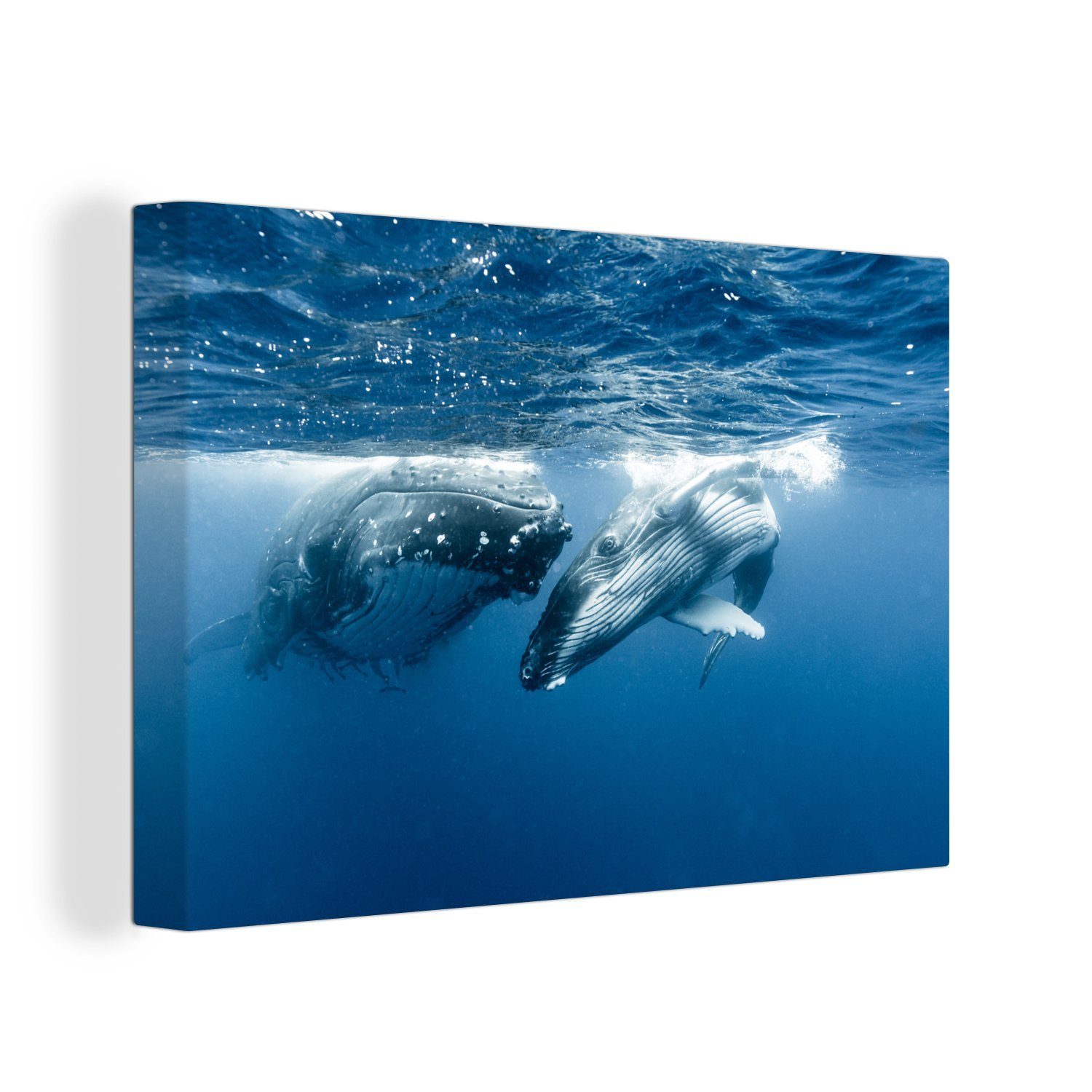 OneMillionCanvasses® Leinwandbild Zwei Buckelwale schwimmen Seite an Seite, (1 St), Wandbild Leinwandbilder, Aufhängefertig, Wanddeko, 30x20 cm