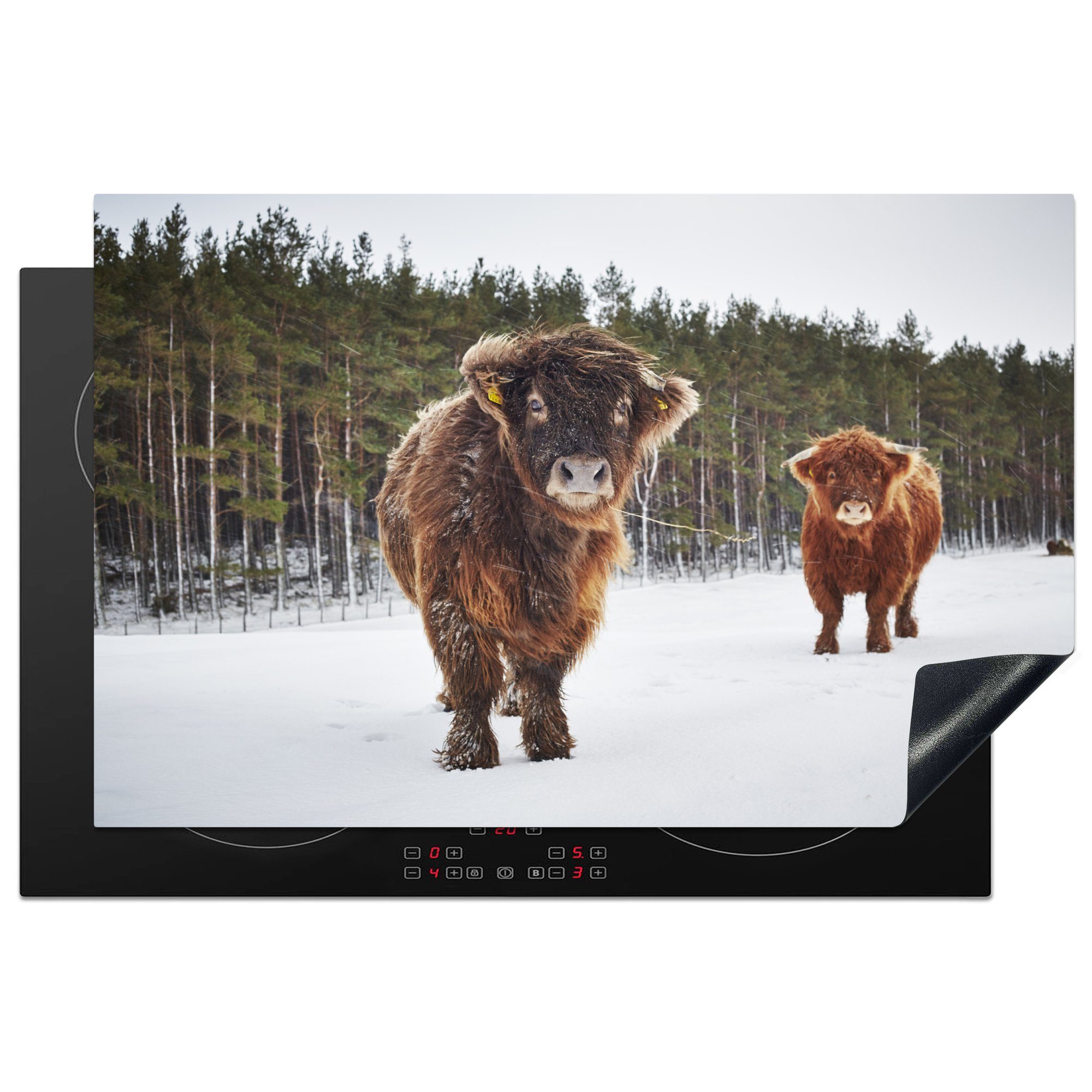 MuchoWow Herdblende-/Abdeckplatte Schottische Highlander - Winter - Wald, Vinyl, (1 tlg), 81x52 cm, Induktionskochfeld Schutz für die küche, Ceranfeldabdeckung