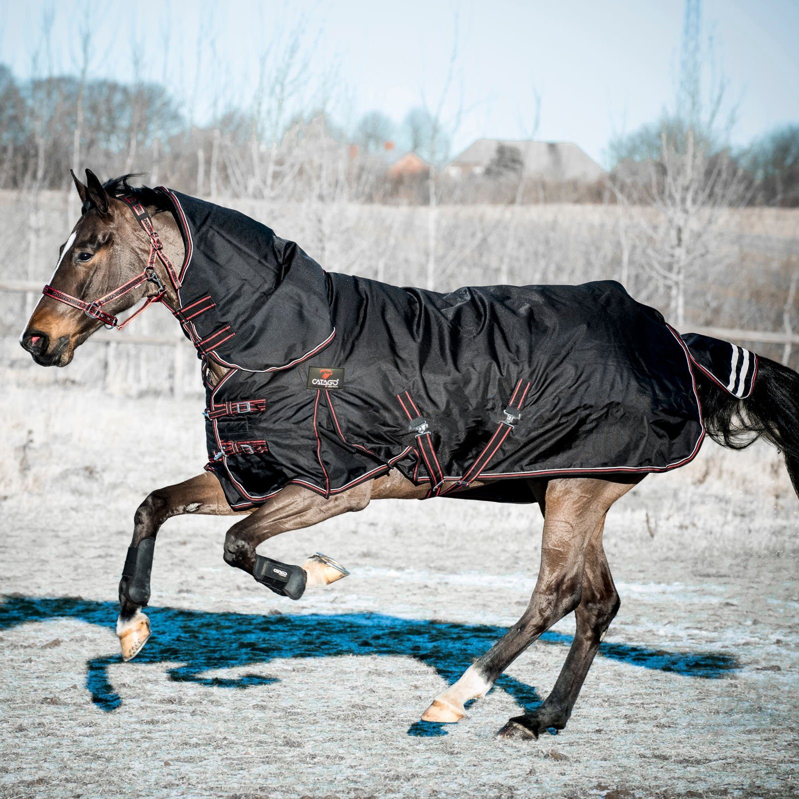 CATAGO Outdoordecke für 1680D CATAGO Endurance Pferde-Thermodecke - schwarz 0g Pferde,