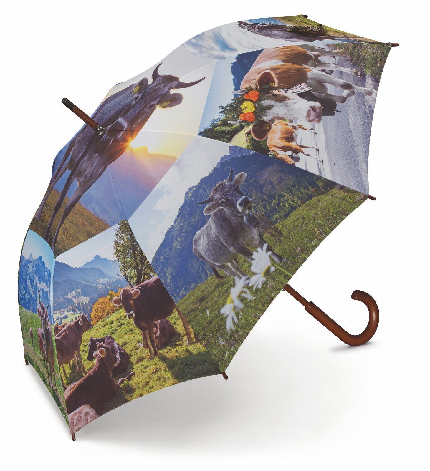 HAPPY RAIN Langregenschirm Alpenkuh, Stockschirm mit günstig online kaufen