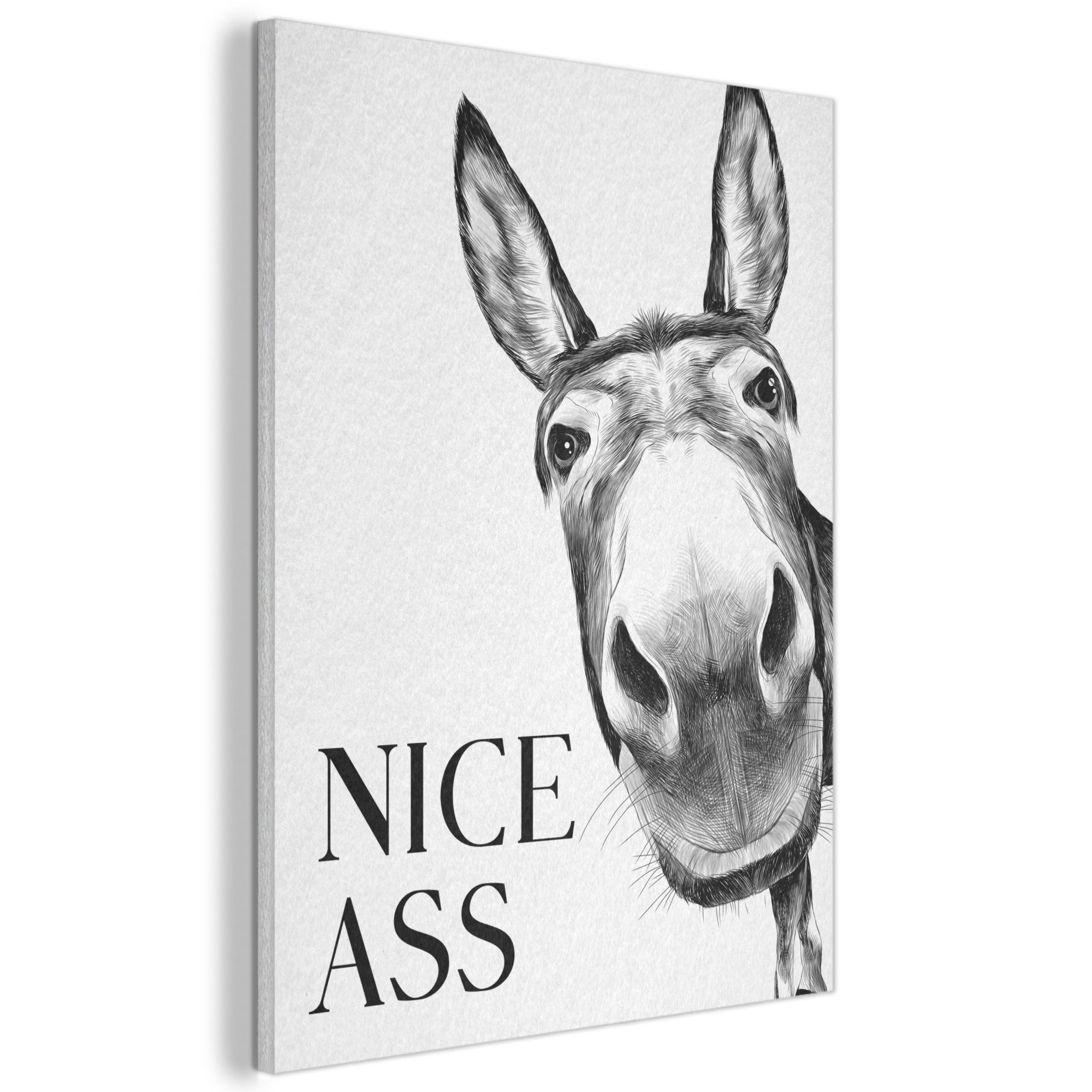 MuchoWow Gemälde Zitat - Esel - Dieren - Nice ass - Sprüche, Fotodruck (1 St), Akustikpaneele, Wandpaneele, Schalldämmung, Akustikbilder 30x40 cm