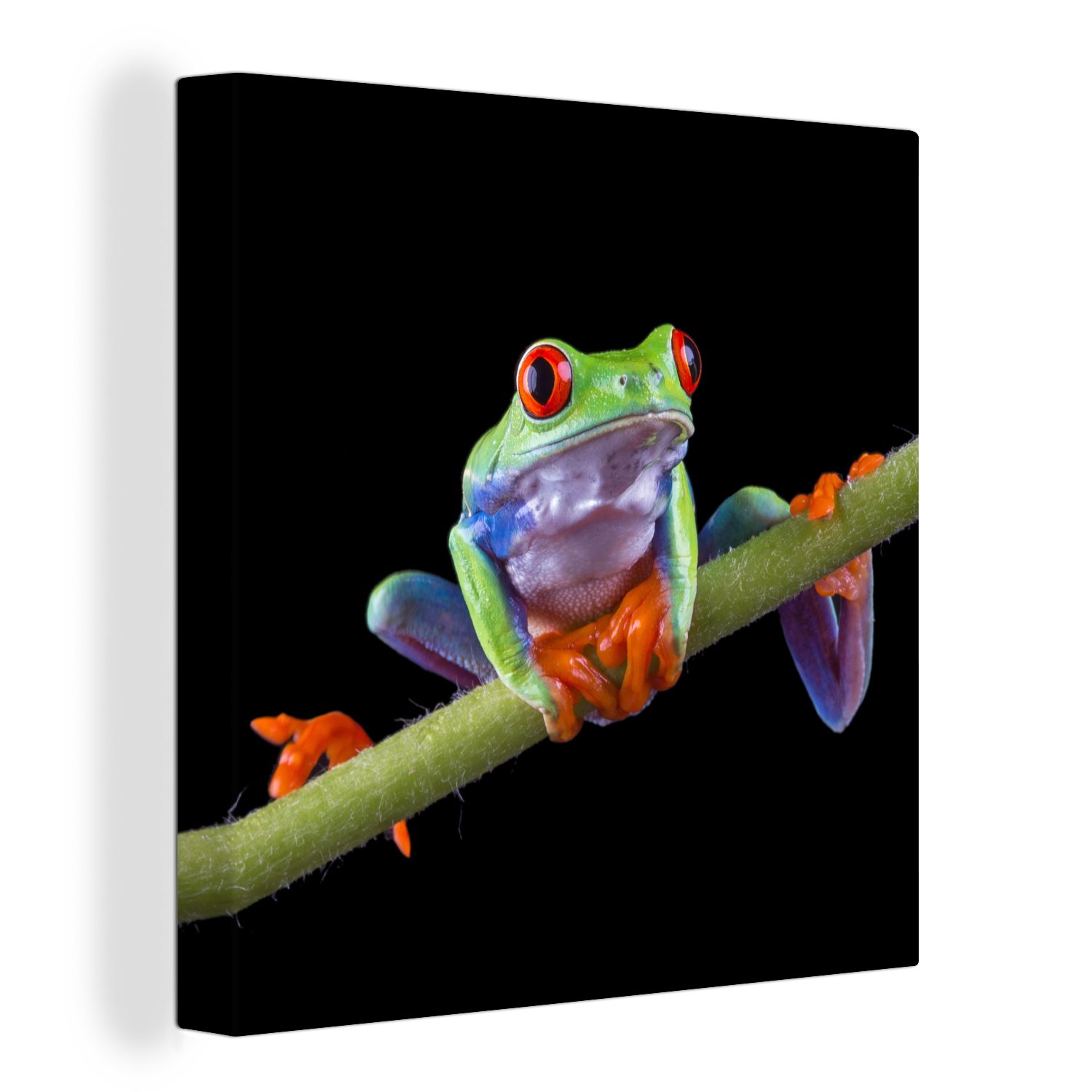 OneMillionCanvasses® Leinwandbild Frosch - Bambus - Schwarz, (1 St), Leinwand Bilder für Wohnzimmer Schlafzimmer | Leinwandbilder