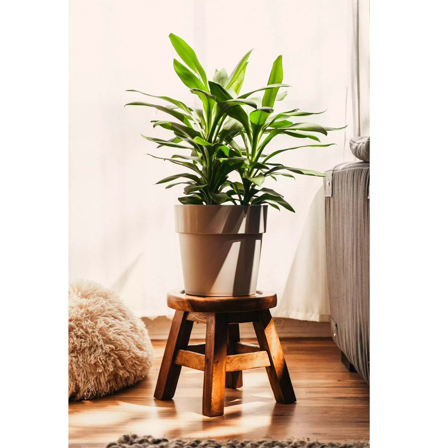 HUZK Kinderhocker Käfer, Stabiler hocker aus Holz – Perfekte Sitzgelegenheit für Kinderzimmer