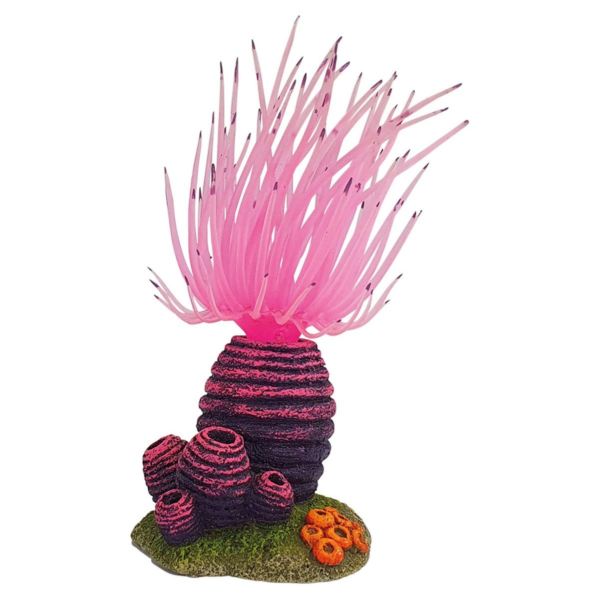 Aquariendeko Aquariendekoration Aplysina