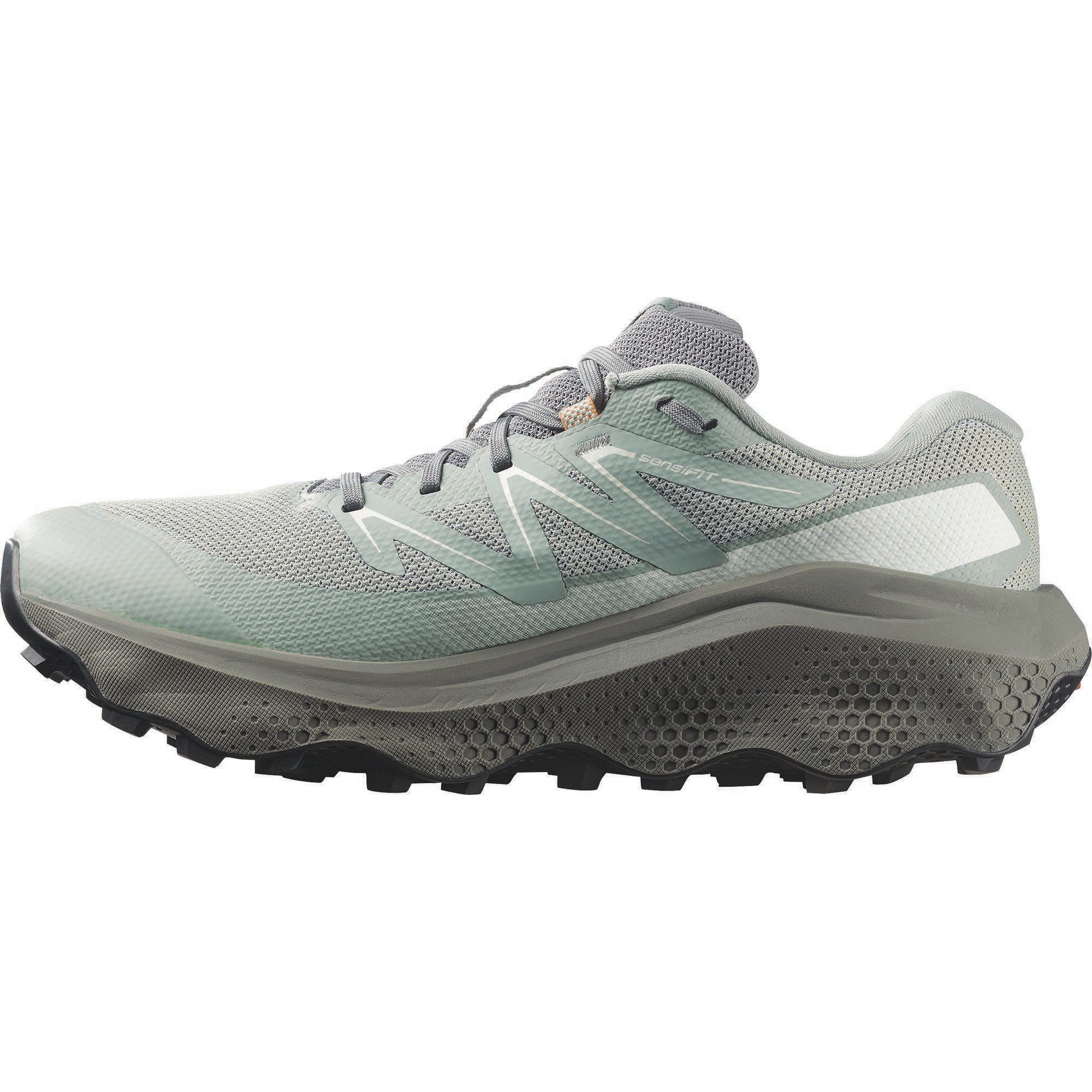 Salomon ULTRA FLOW 2 GTX Trailrunningschuh wasserdicht