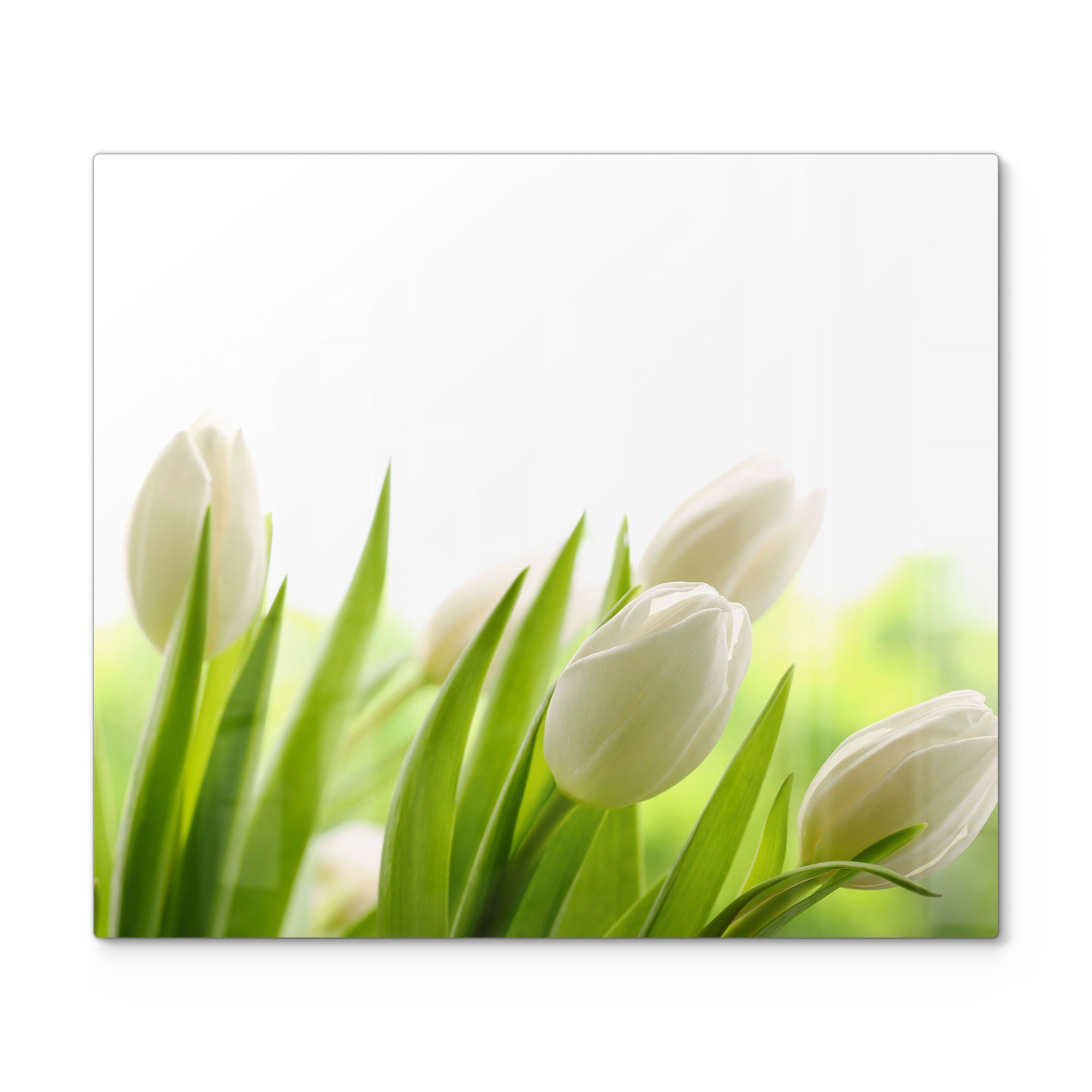 DEQORI Herdblende-/Abdeckplatte 'Schneeweiße Tulpen', Glas, (1 tlg), Herdabdeckplatte Ceranfeld Herd Platte Abdeckung Glasplatte
