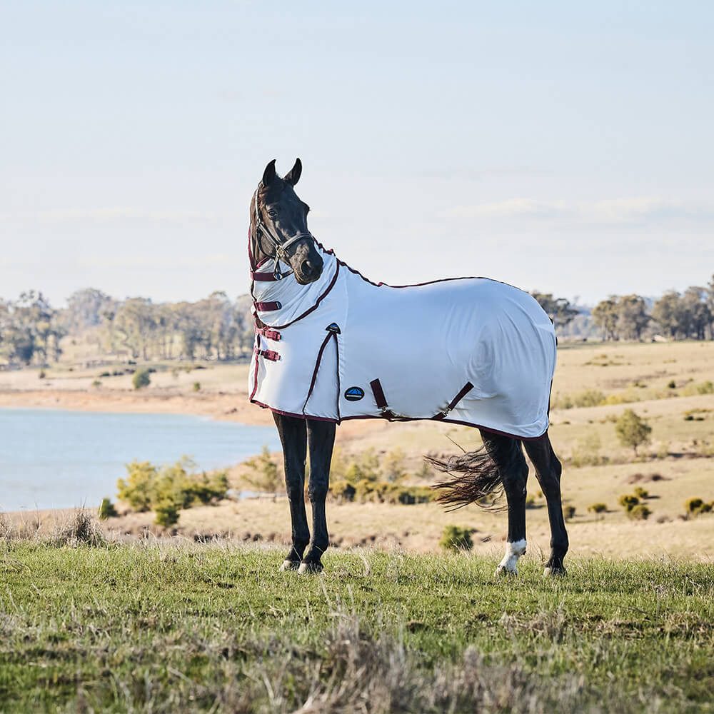 Pferde-Fliegendecke Weatherbeeta Comfitec Essential Fly Sheet Combo