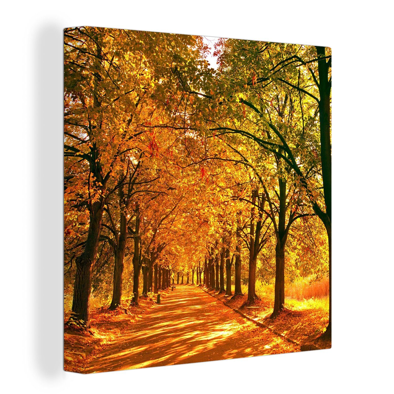 OneMillionCanvasses® Leinwandbild Wald - Herbst - Jahreszeiten - Ländlich,  (1 St), Leinwand Bilder für Wohnzimmer Schlafzimmer