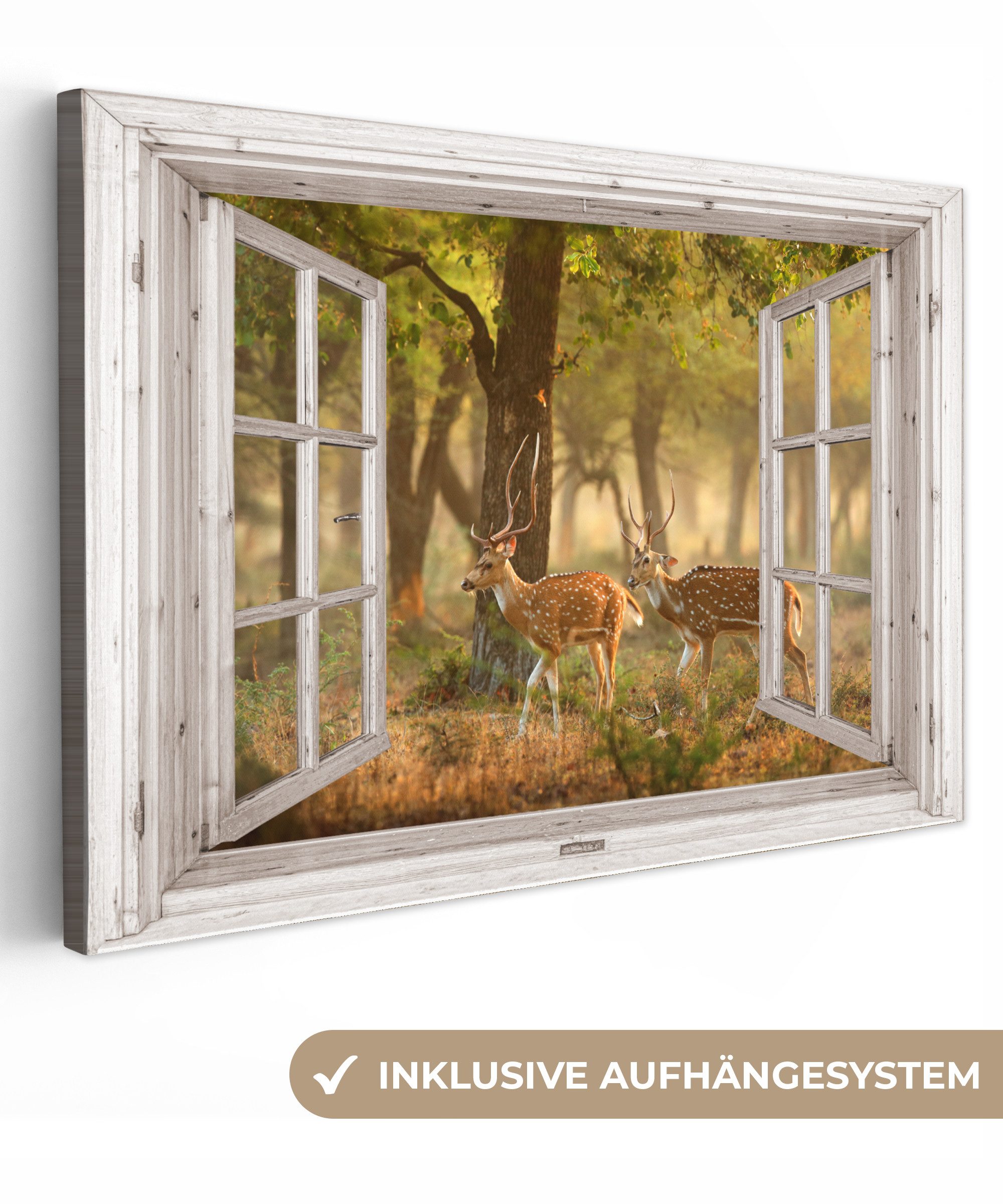 OneMillionCanvasses® Leinwandbild Hirsche - Wald - Herbst - Waldtiere - Nat günstig online kaufen