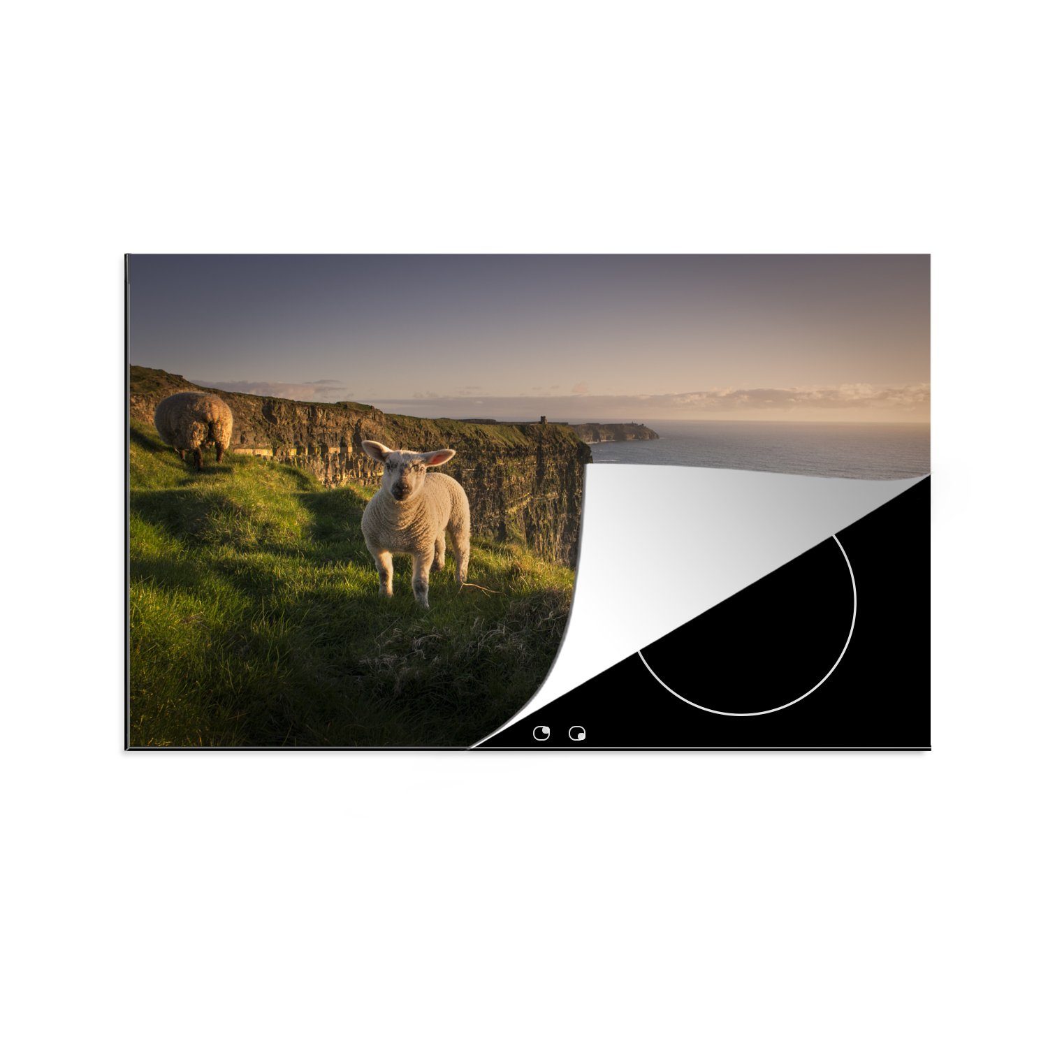 MuchoWow Herdblende-/Abdeckplatte Schafe auf den Cliffs of Moher, Vinyl, (1 tlg), 81x52 cm, Induktionskochfeld Schutz für die küche, Ceranfeldabdeckung