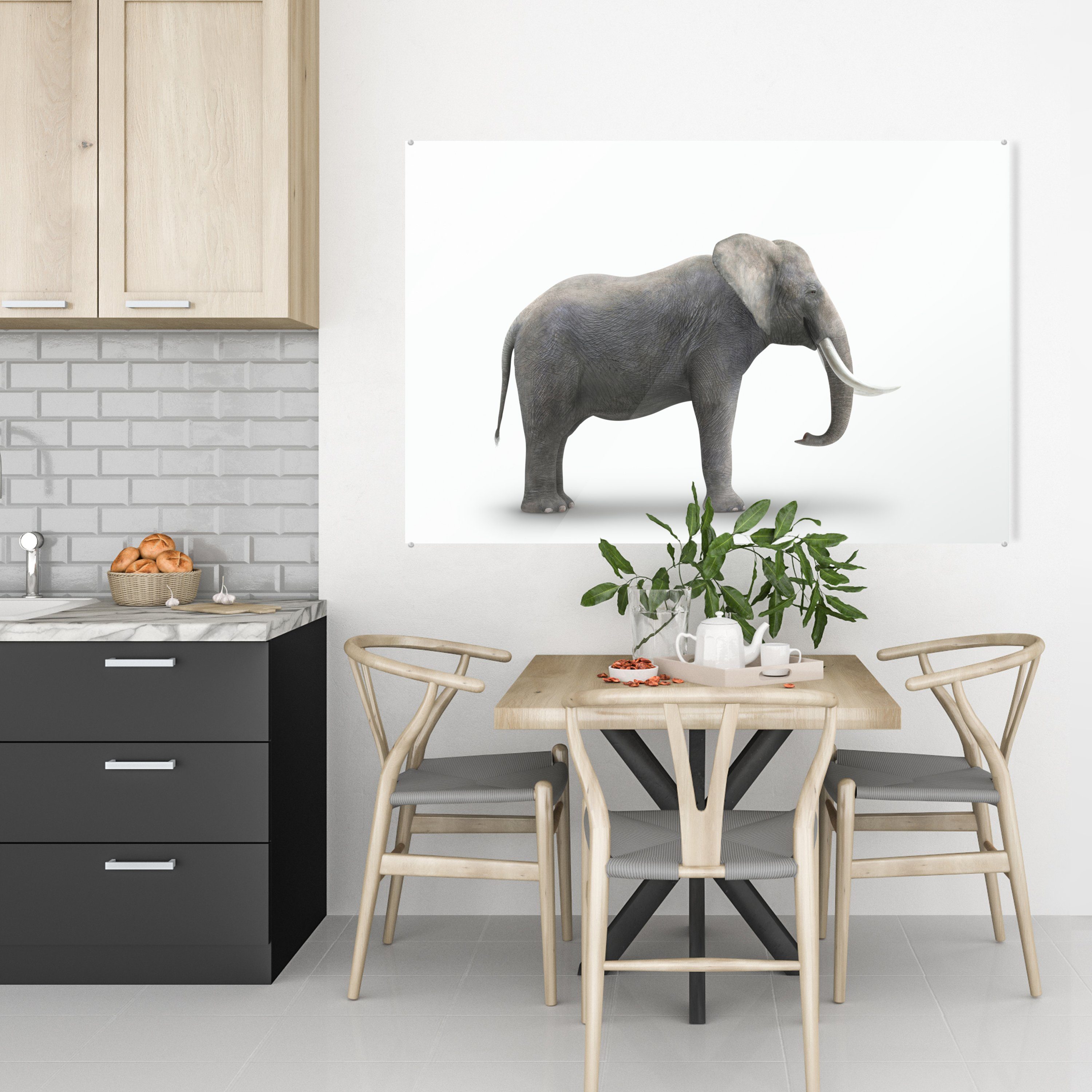 MuchoWow Acrylglasbild Elefant auf weißem (1 & Acrylglasbilder Wohnzimmer bunt St), Hintergrund, Schlafzimmer