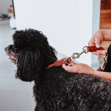 Hunter Tierbedarf Hundeleine Verstellbare Hunde-Führleine Round & Soft Canadian Up, Leder