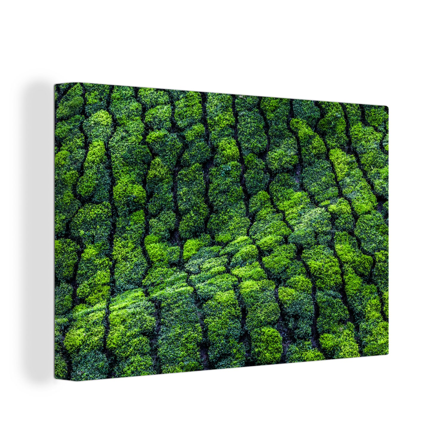 OneMillionCanvasses® Leinwandbild Teeplantagen Indien, (1 St), Wandbild Leinwandbilder, Aufhängefertig, Wanddeko, 30x20 cm