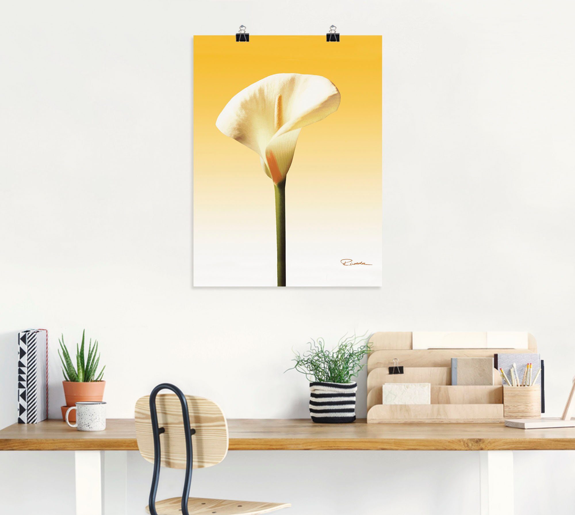 Artland Wandbild Sonnenschein versch. Größen Alubild, als Leinwandbild, oder in St), Poster (1 II, Calla Blumenbilder Wandaufkleber