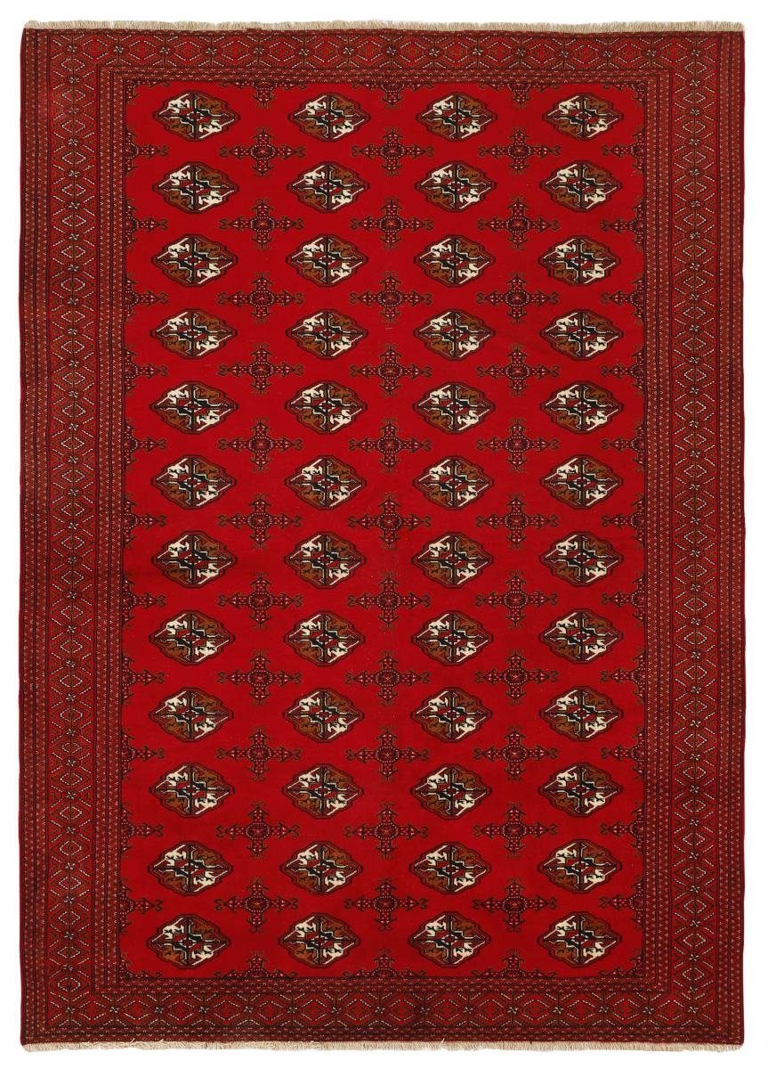 Orientteppich Turkaman 207x289 Handgeknüpfter Orientteppich / Perserteppich, Nain Trading, rechteckig, Höhe: 6 mm