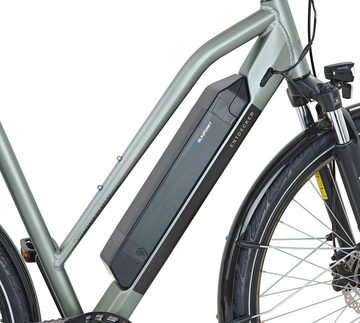 Prophete E-Bike ENTDECKER 22.EST.05, 8 Gang Shimano Altus Schaltwerk, Kettenschaltung, Heckmotor, 418 Wh Akku