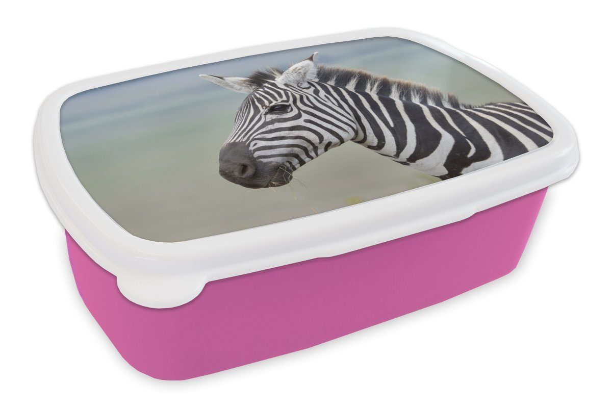 MuchoWow Lunchbox Zebra Nahaufnahme, Kunststoff, (2-tlg), Brotbox für Erwachsene, Brotdose Kinder, Snackbox, Mädchen, Kunststoff rosa