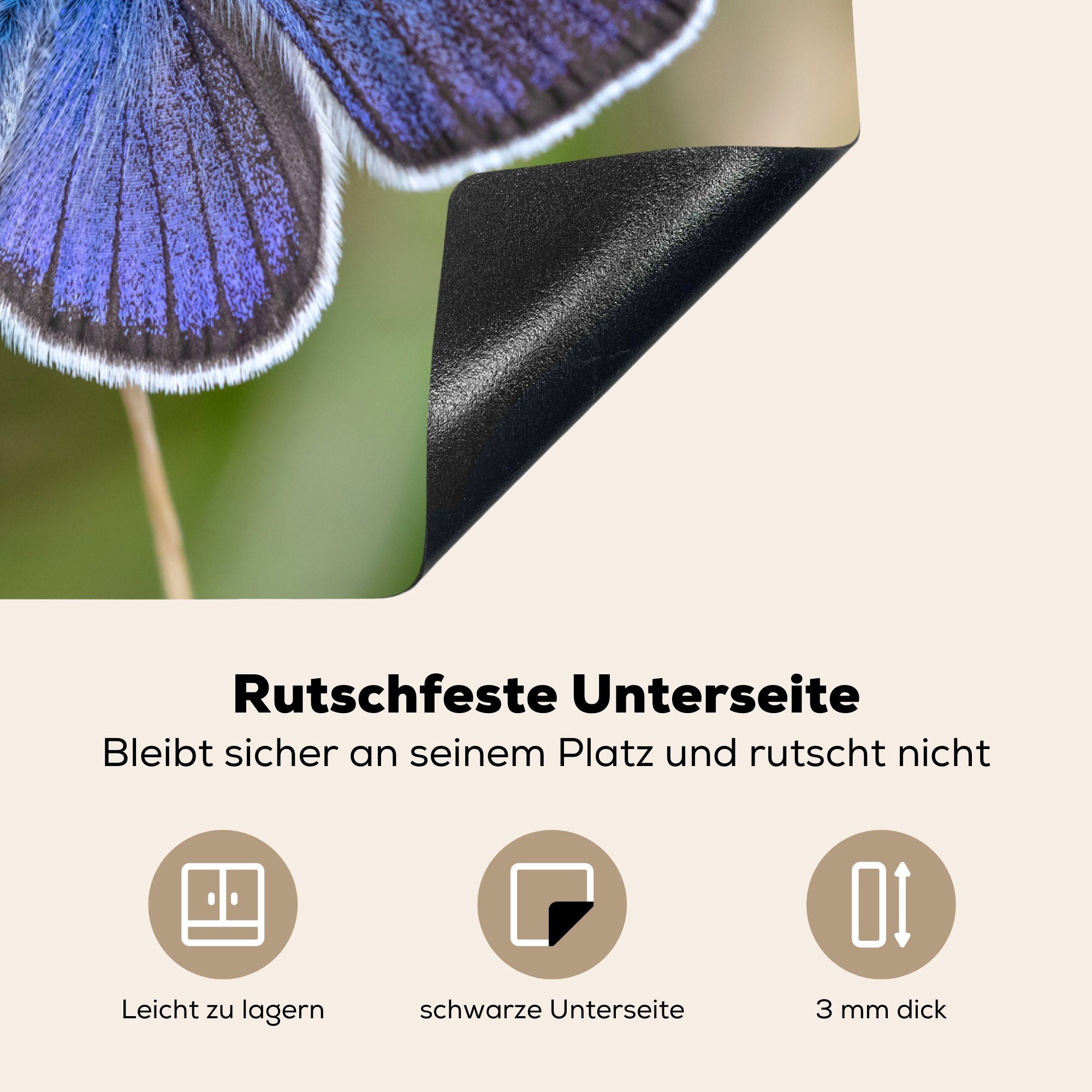 Herdblende-/Abdeckplatte im Ceranfeldabdeckung Vinyl, (1 nutzbar, cm, Schmetterling tlg), Blauglöckchen Arbeitsfläche Gras, Mobile MuchoWow 60x52