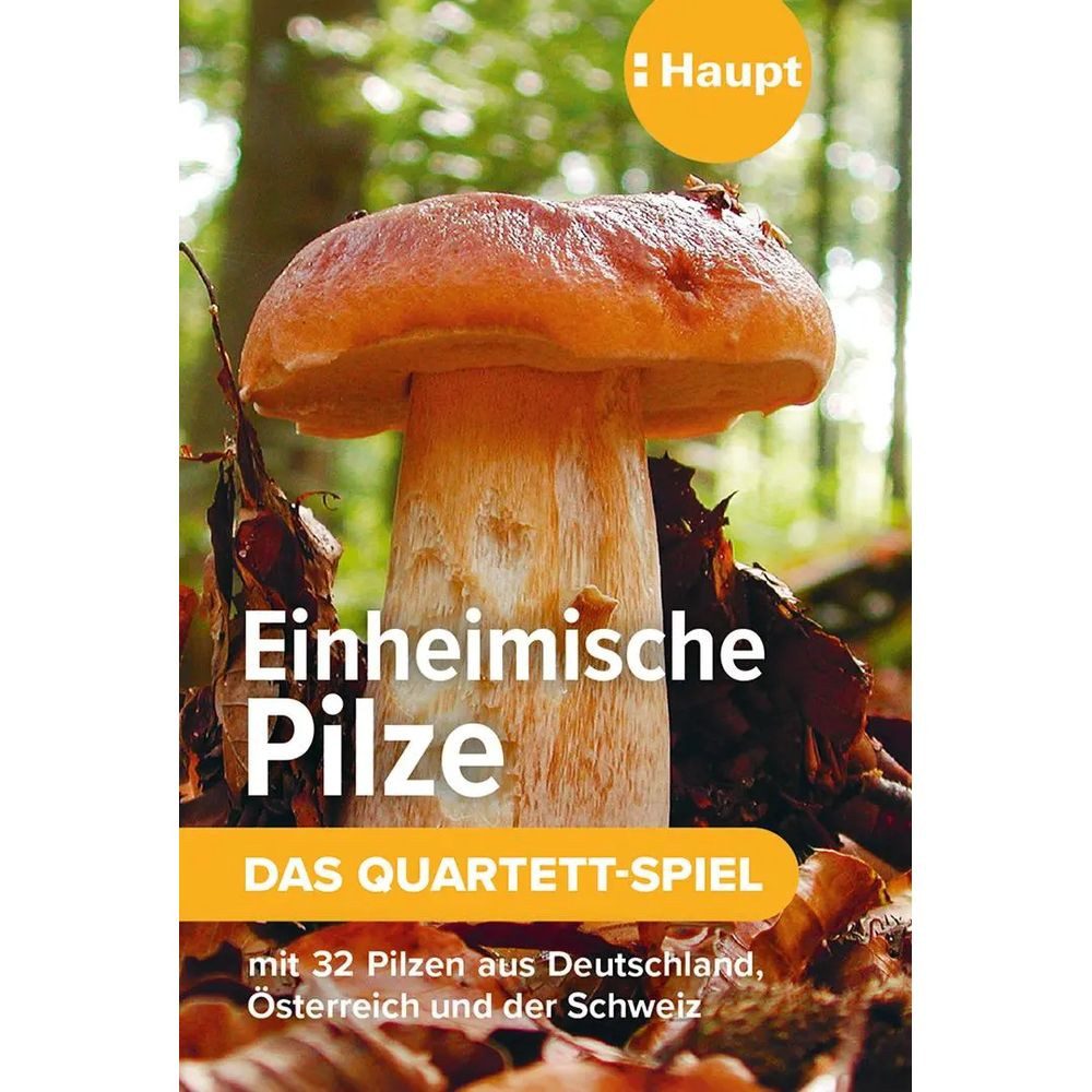 Haupt Spiel Einheimische Pilze - das Quartett-Spiel