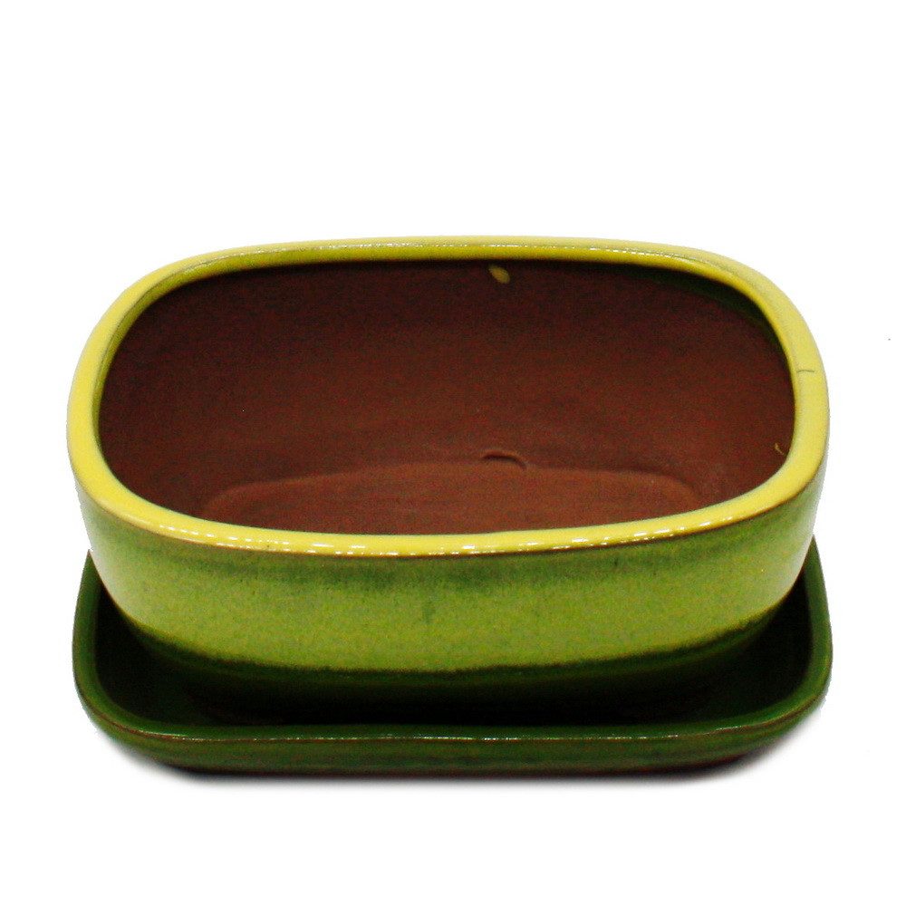 Exotenherz Pflanzschale Bonsai-Schale Unterteller Gr. 3 günstig online kaufen