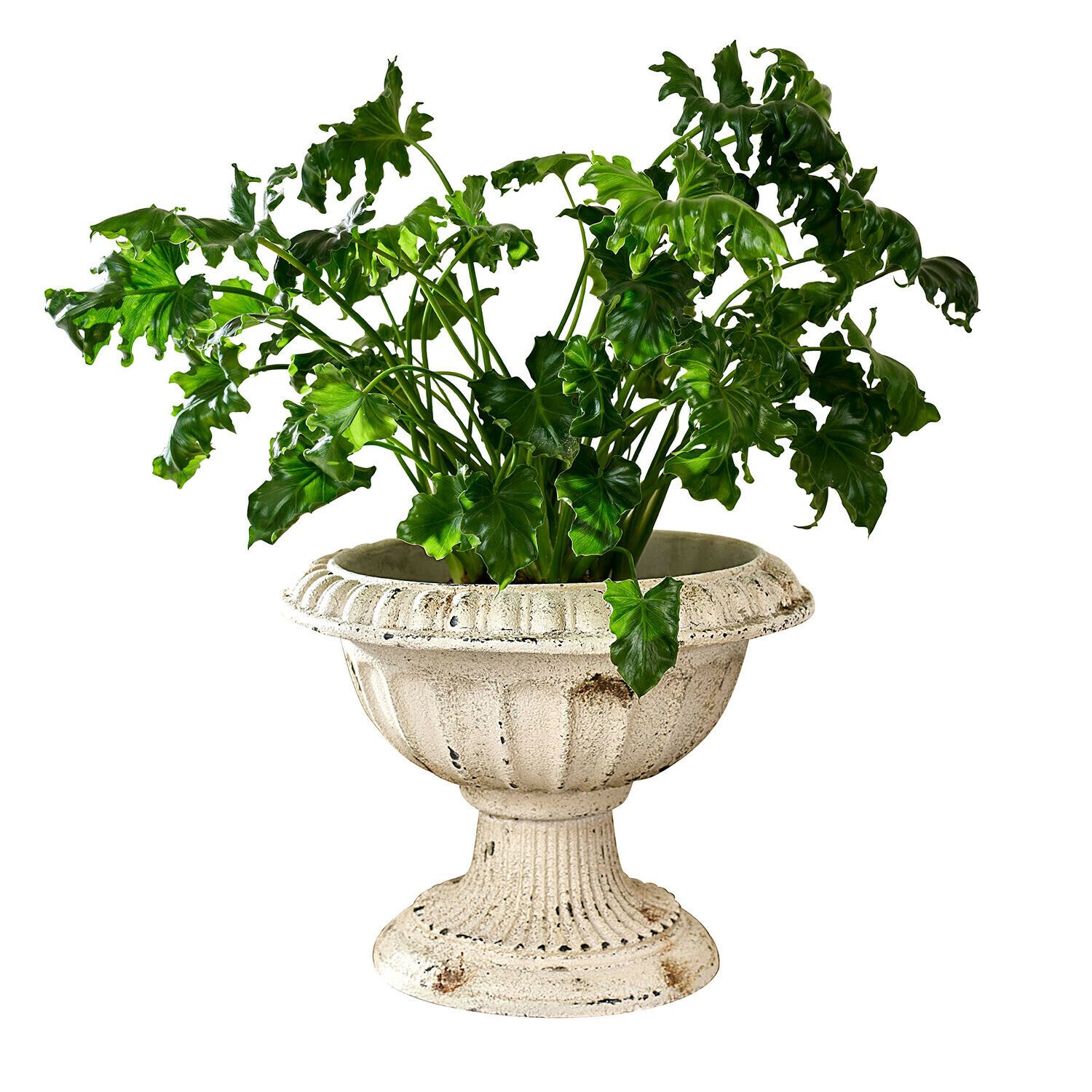 Mirabeau Tischvase Amphore Islene creme