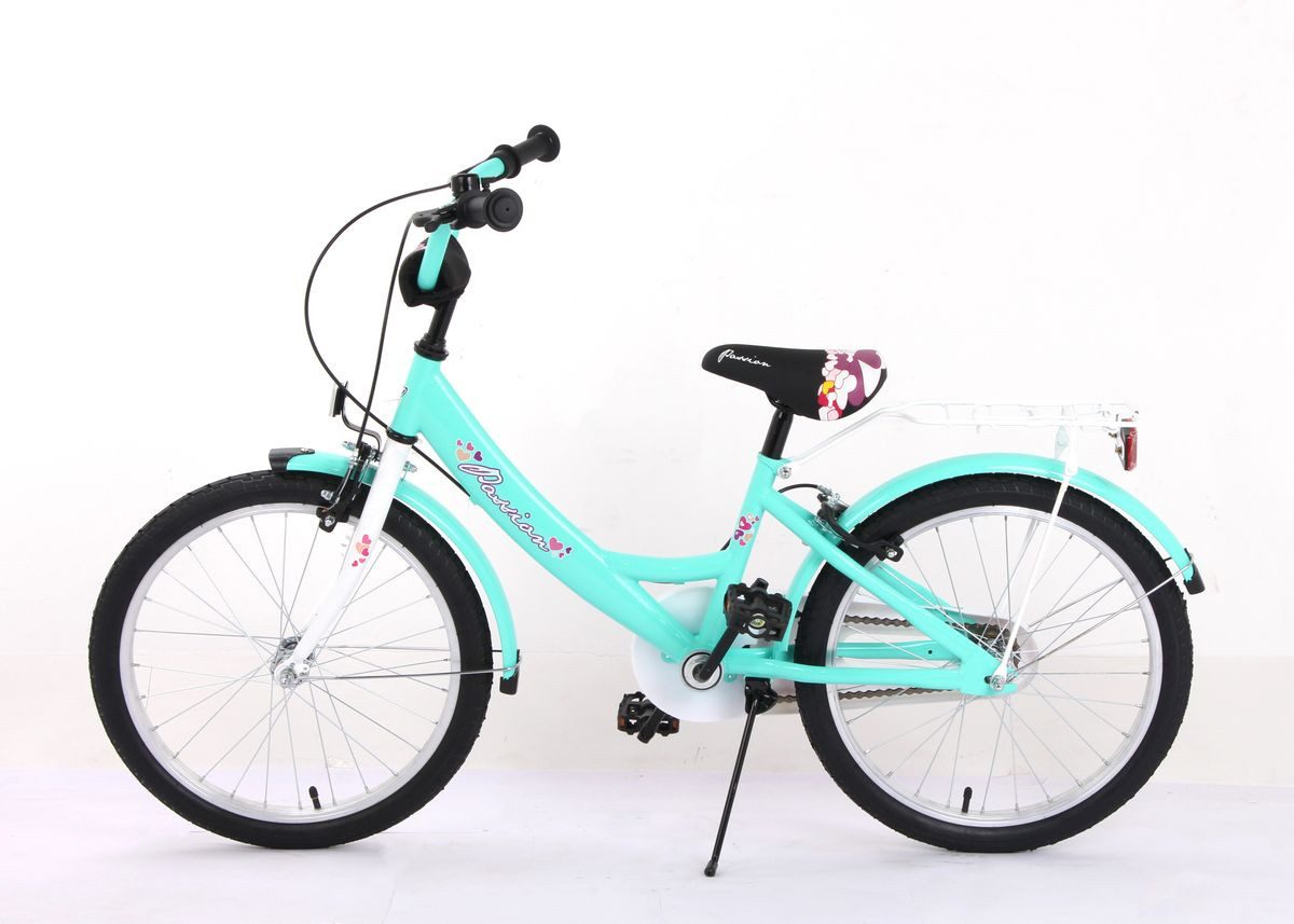 T&Y Trade Kinderfahrrad 20 Zoll Kinder Mädchen City Fahrrad Bike Rad Kinderfahrrad PASSIO Grün, 1 Gang, Gepäckträger, Seitenständer, Schutzbleche