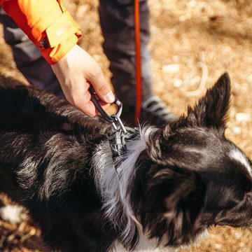 Non-stop dogwear Hunde-Halsband ROAM Collar black, Neopren-Polsterung; Nylon-Gurtband; Aluminium D-Ring, gepolstertes Halsband für jede Aktivität