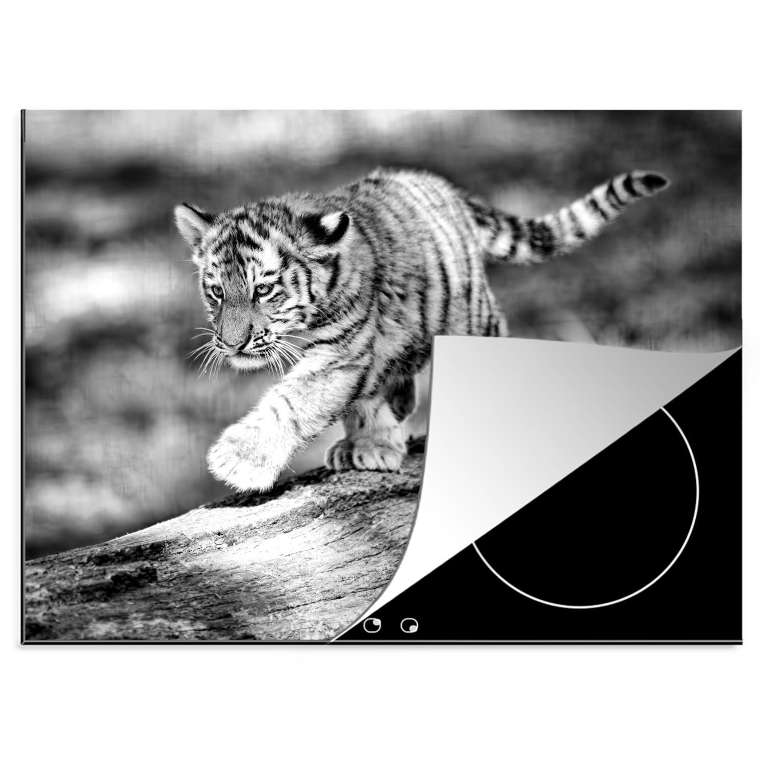 MuchoWow Herdblende-/Abdeckplatte Tiger - Baum - Junge - Schwarz - Weiß, Vinyl, (1 tlg), 70x52 cm, Mobile Arbeitsfläche nutzbar, Ceranfeldabdeckung