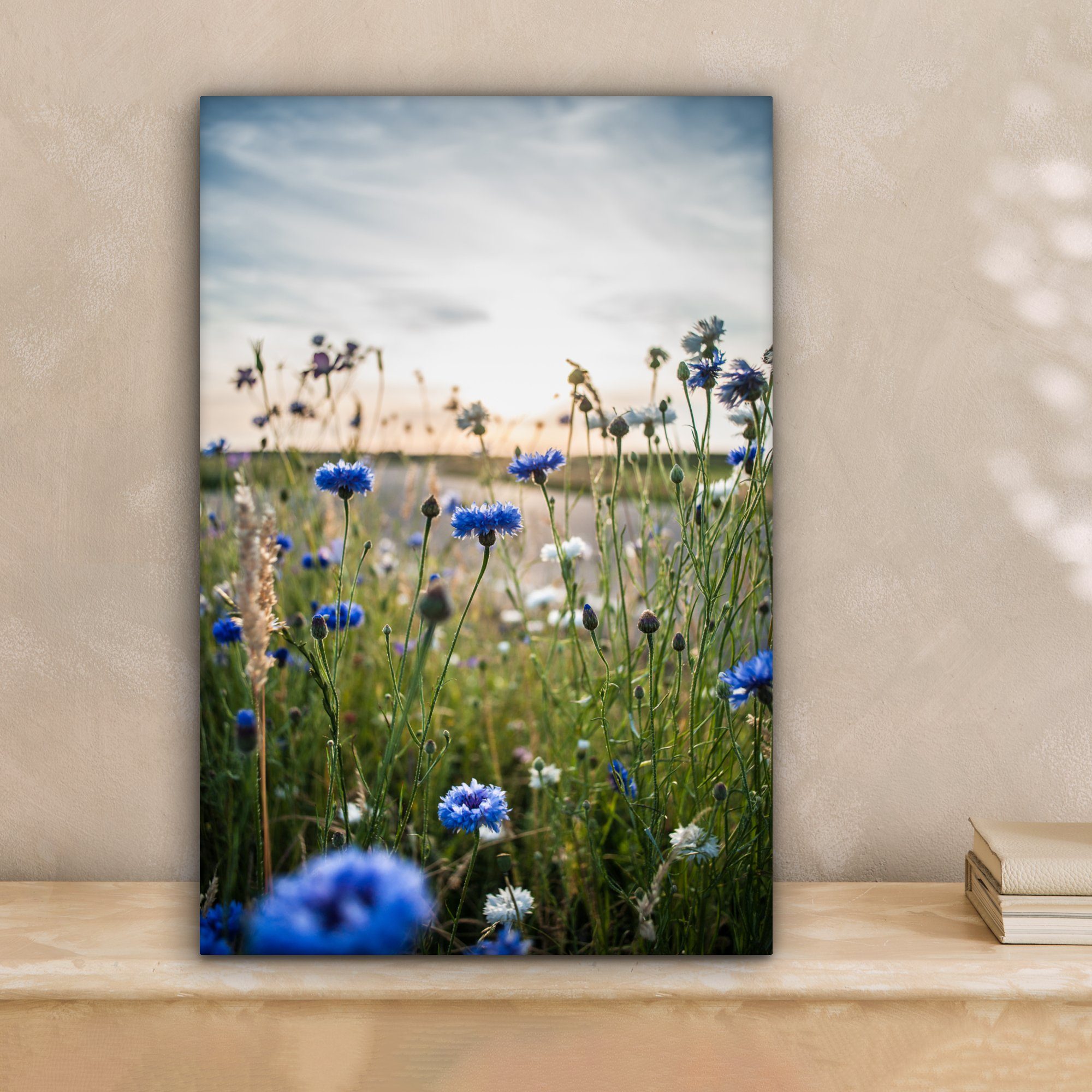 OneMillionCanvasses® Leinwandbild Blumen - Sommer - Kornblume - Blau - Sonn günstig online kaufen