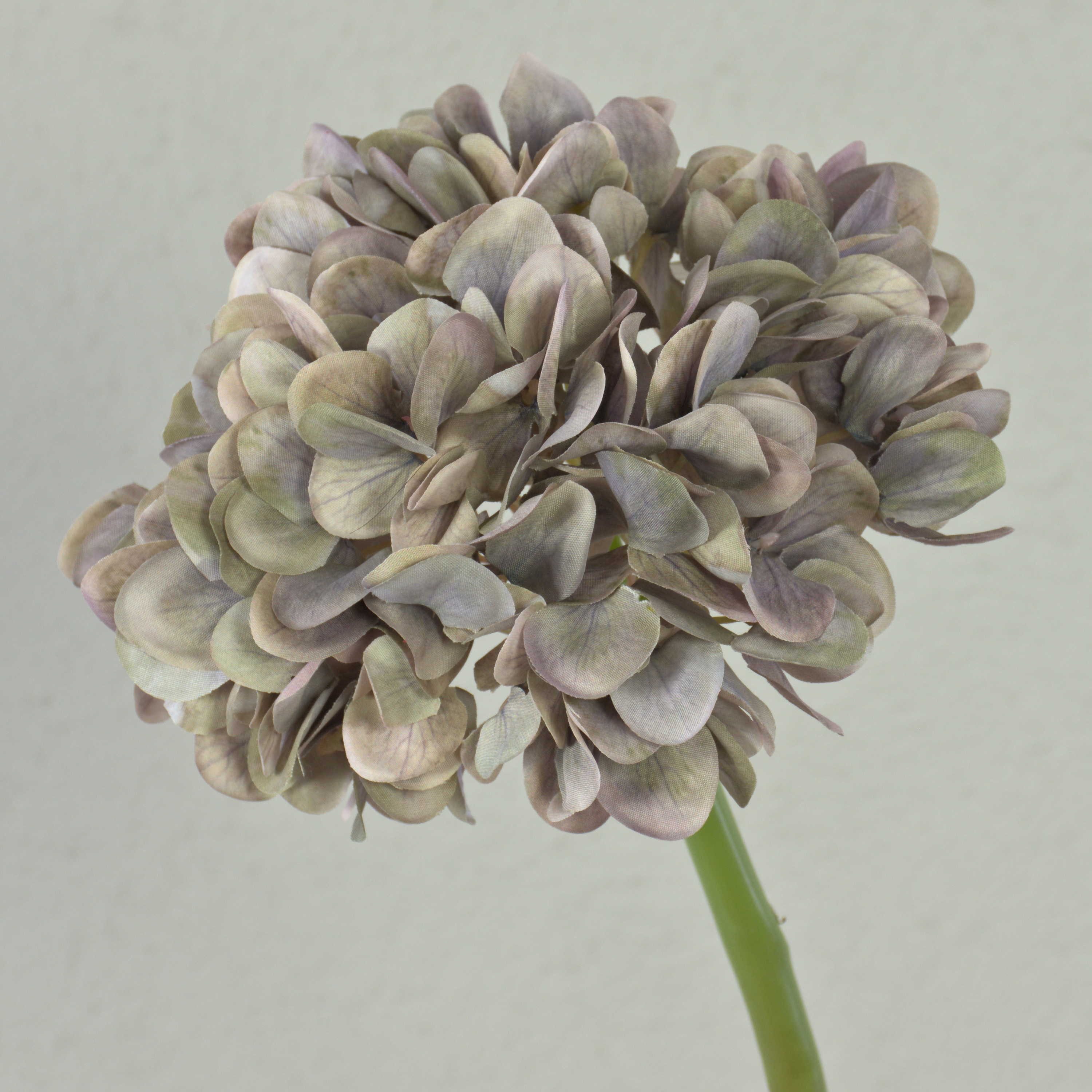 Kunstblume Künstliche Hortensie Mandisa, beige-rosa, 65cm Hortensie, artplants, Höhe 45.0 cm