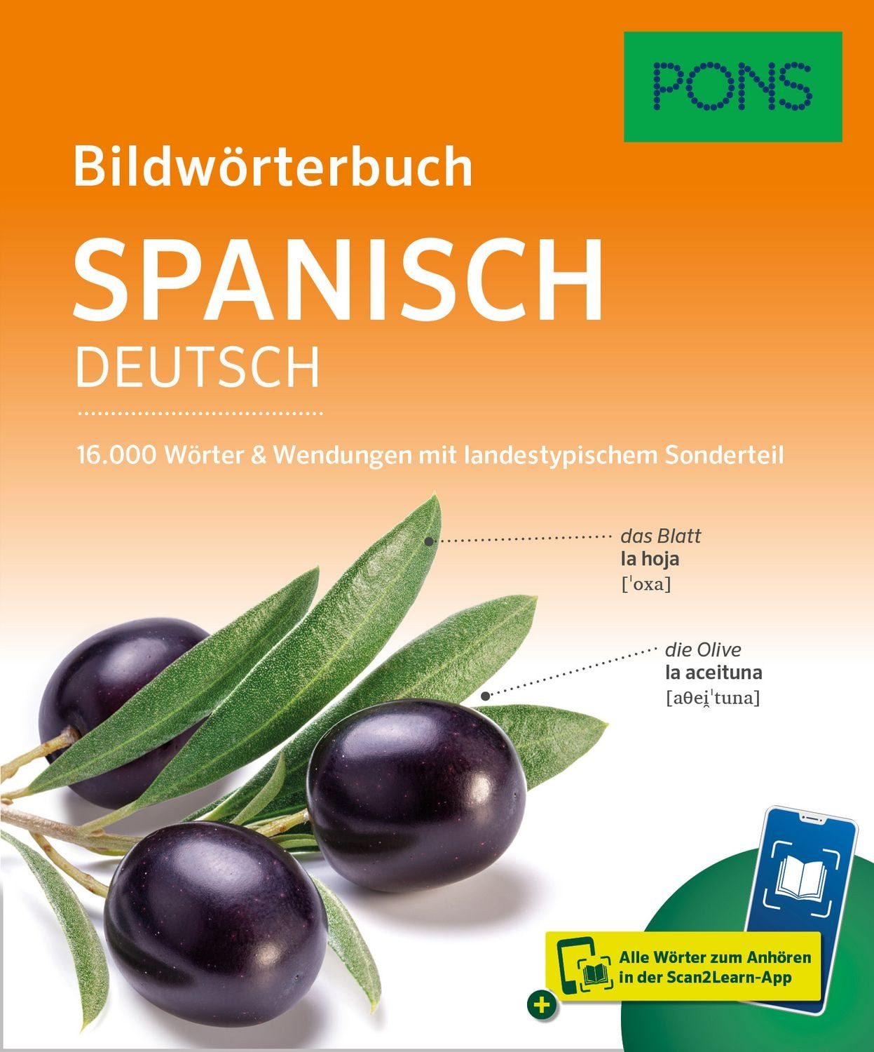 PONS Bildwörterbuch Spanisch / diverse