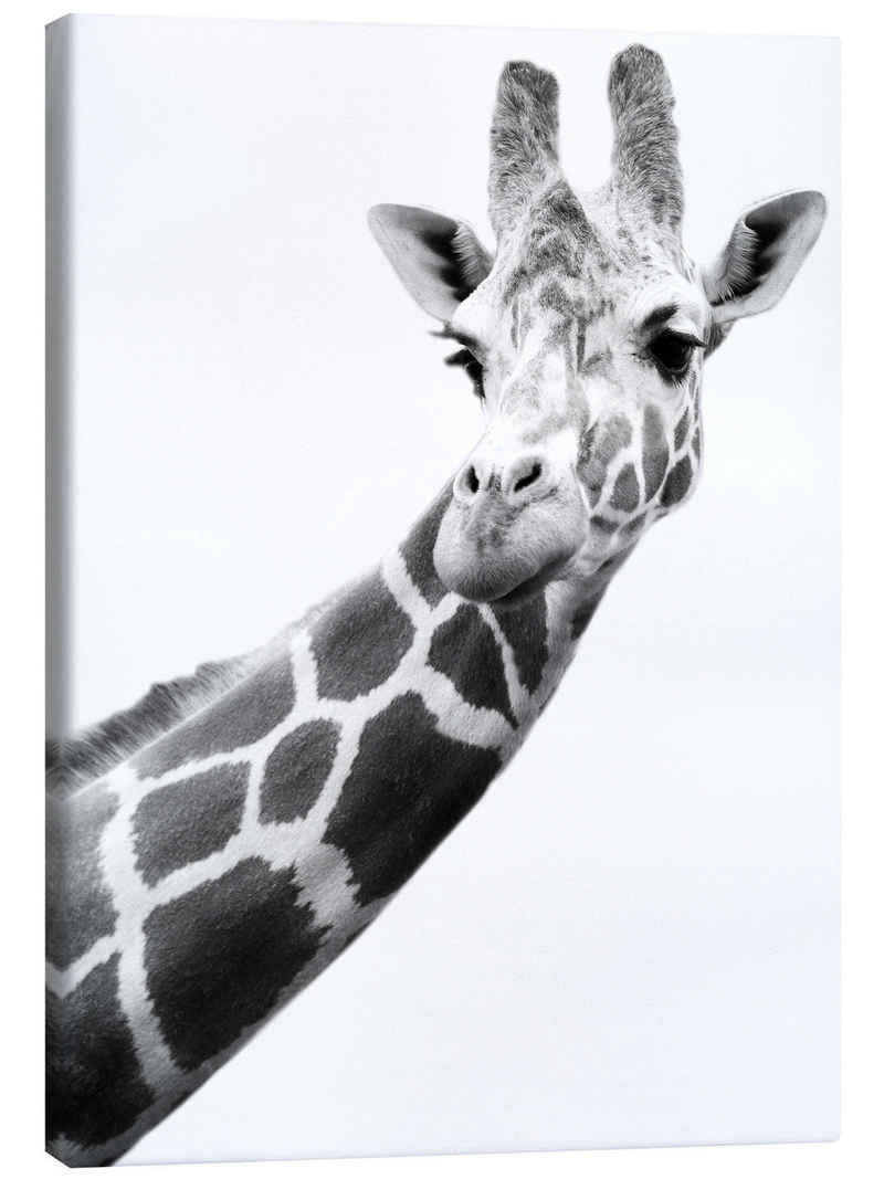Posterlounge Leinwandbild Darren Greenwood, Giraffe in Schwarz-Weiß, Wohnzimmer Fotografie