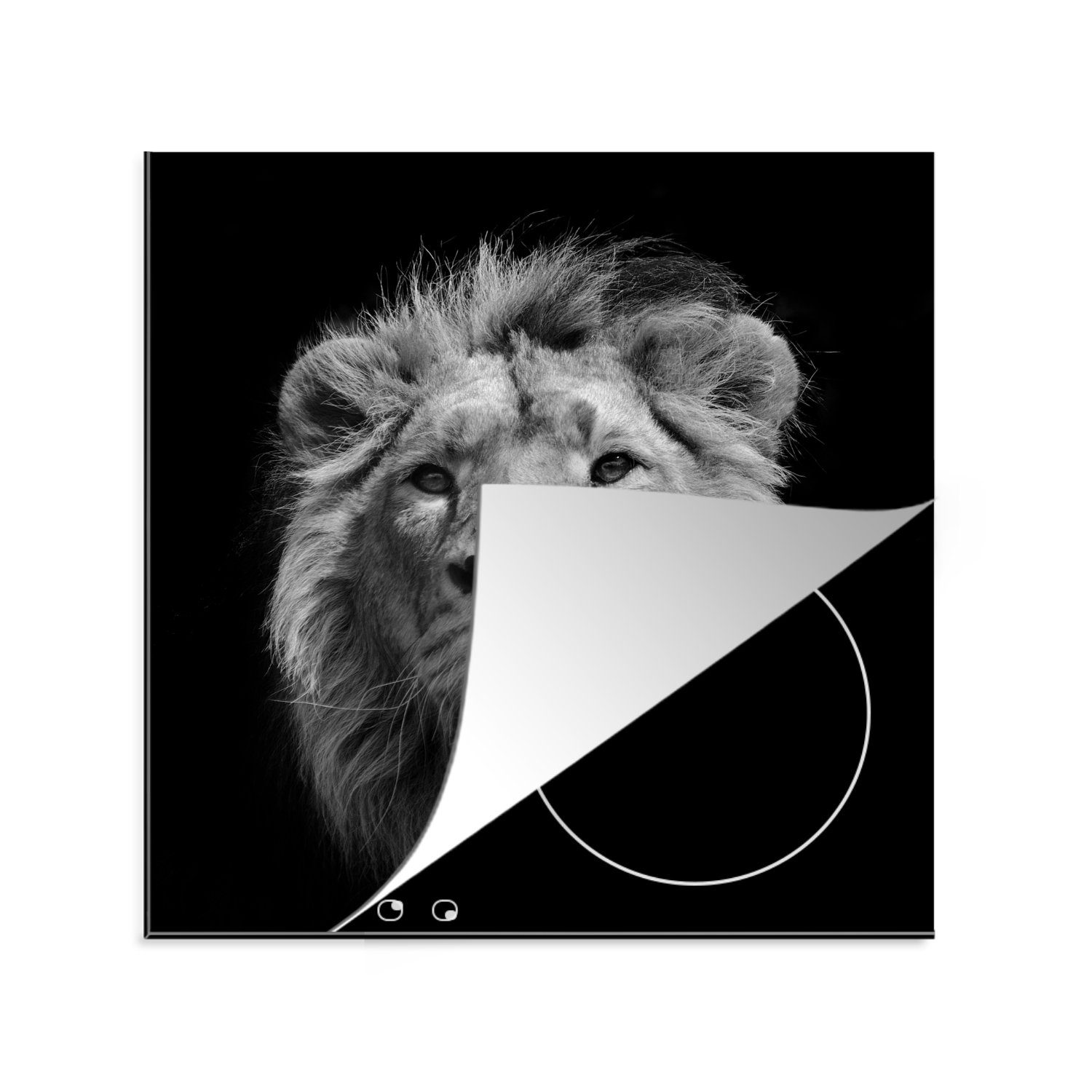 MuchoWow Herdblende-/Abdeckplatte Asiatischer Löwe vor schwarzem Hintergrund in Schwarz und Weiß, Vinyl, (1 tlg), 78x78 cm, Ceranfeldabdeckung, Arbeitsplatte für küche