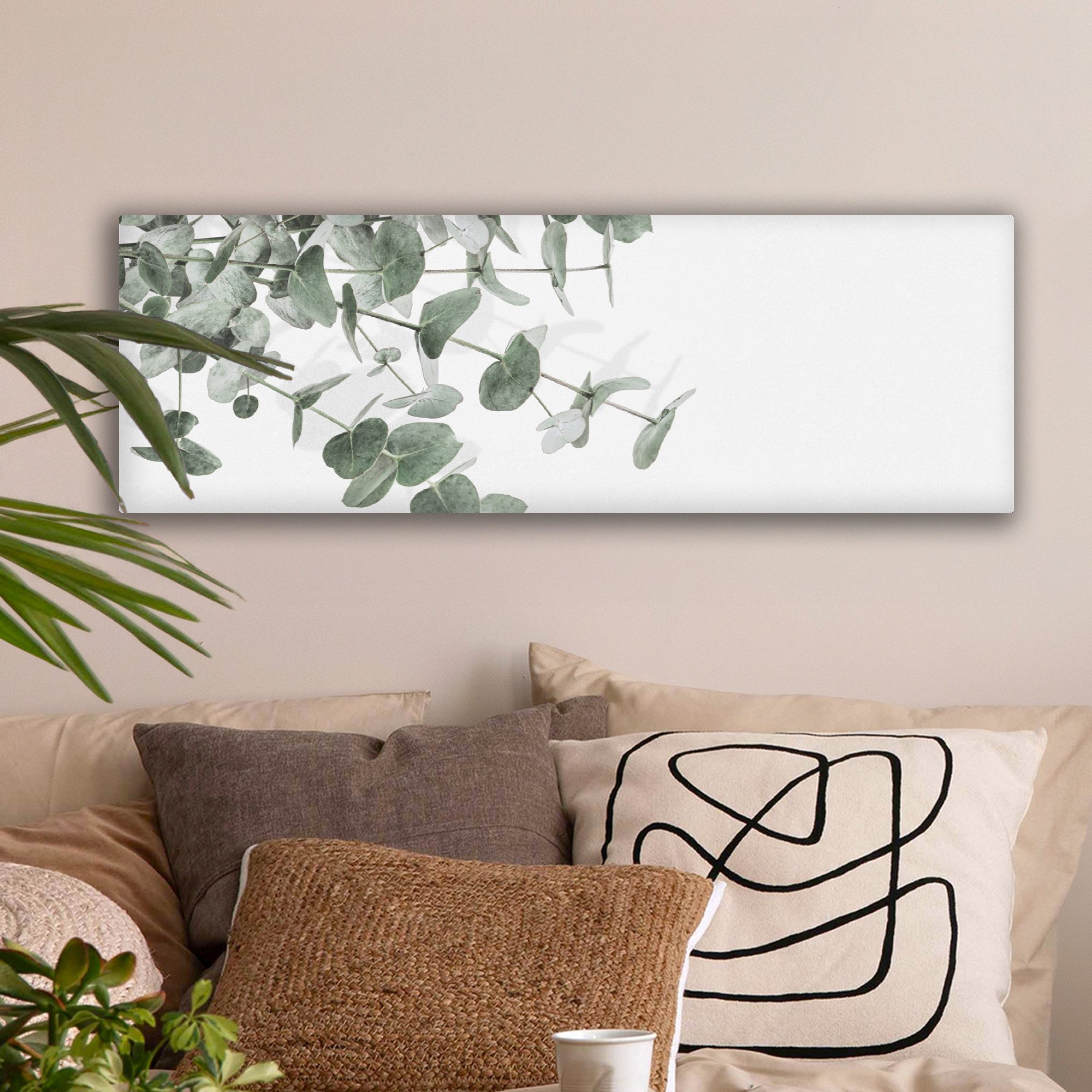 OneMillionCanvasses® Leinwandbild Panorama Eukalyptus - Blätter - Natur - G günstig online kaufen