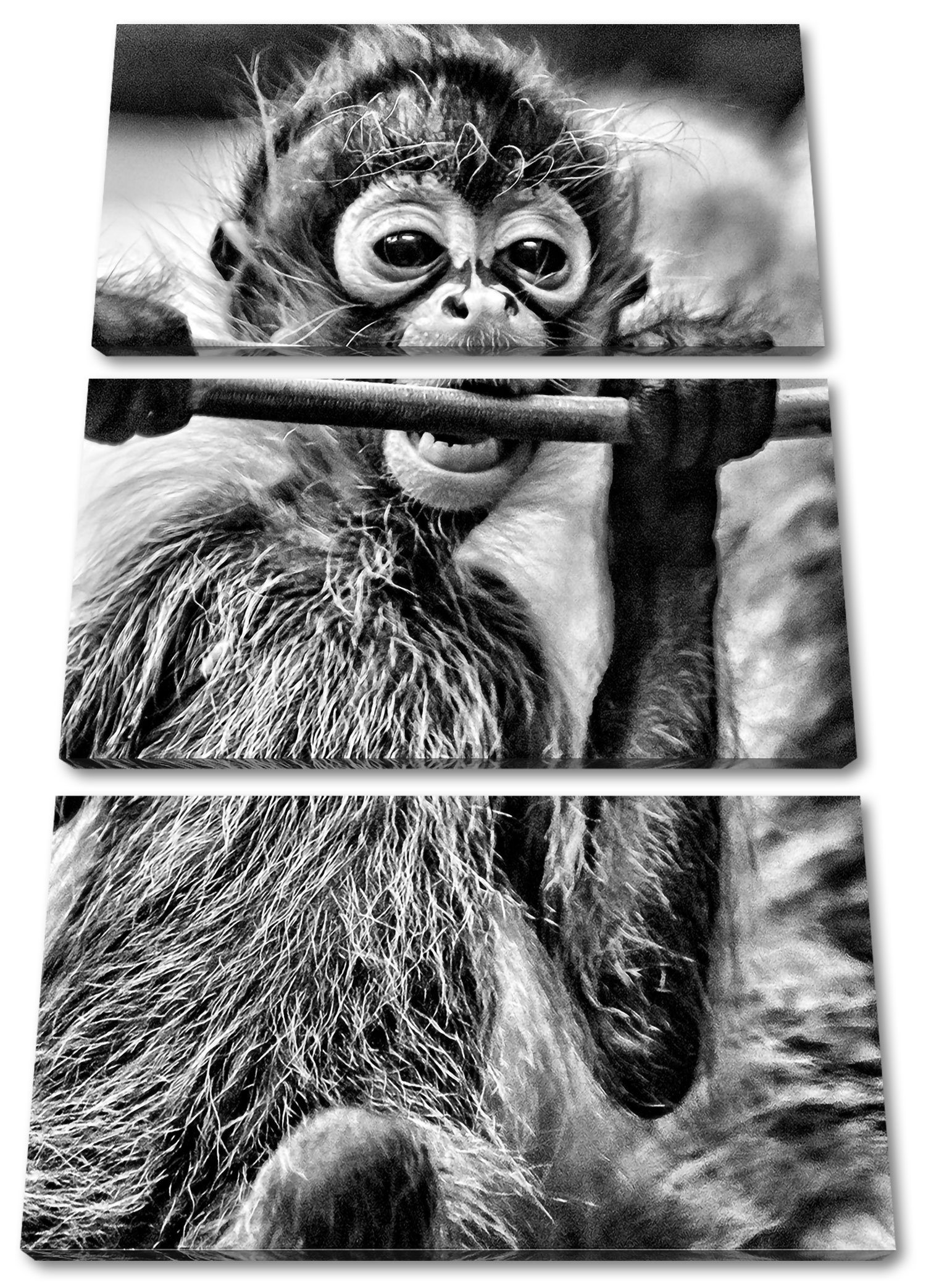 Pixxprint Leinwandbild kleines Affenbaby beim Essen, kleines Affenbaby beim Essen 3Teiler (120x80cm) (1 St), Leinwandbild fertig bespannt, inkl. Zackenaufhänger | Leinwandbilder