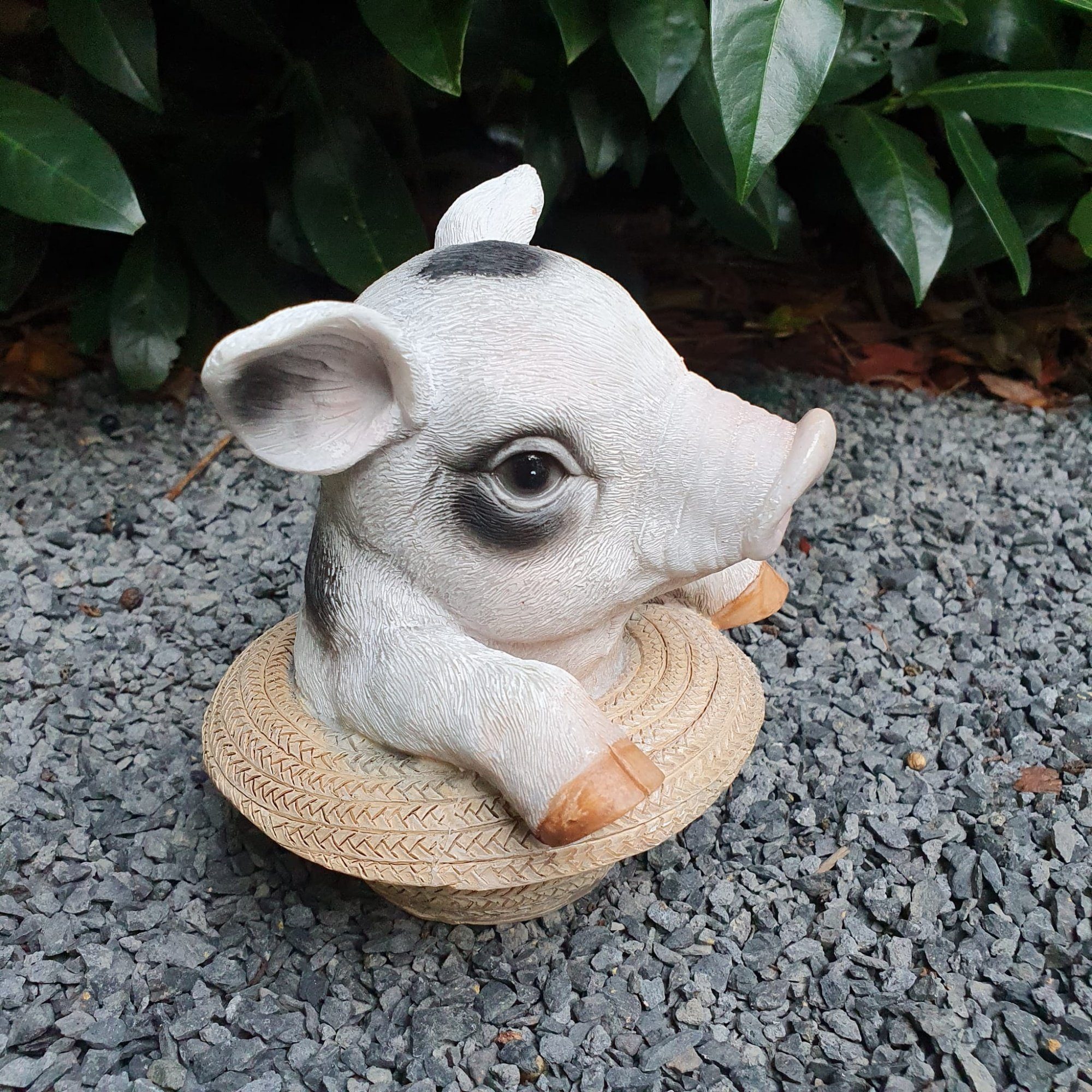 Gartenfigur im Aspinaworld cm 13 Hut Schweine wetterfest Figur