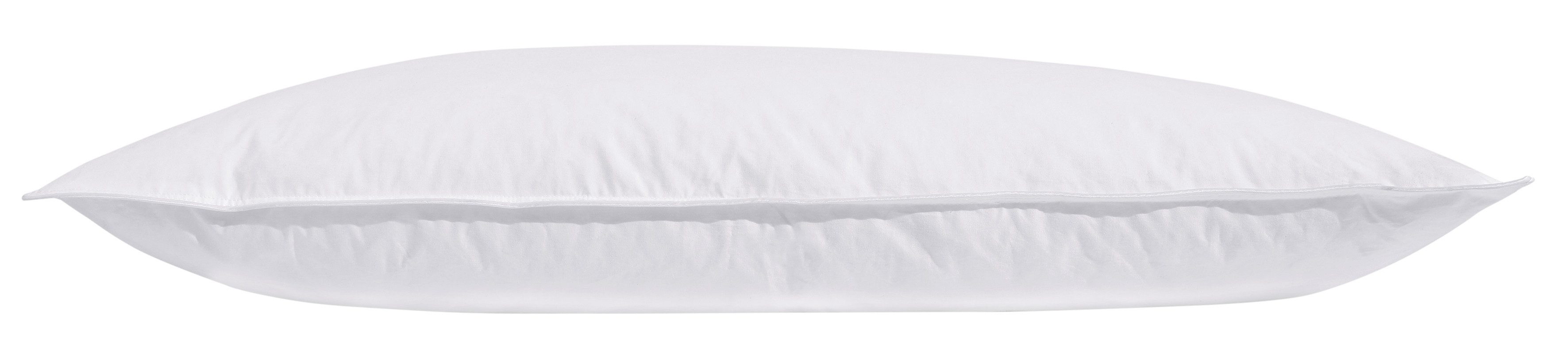 my home Federkopfkissen Cyra, Kissen 40x80 günstig online kaufen