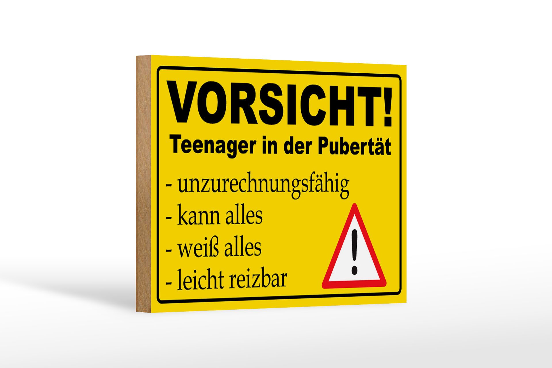 Femer GmbH Holzbild Hinweis 18x12cm Vorsicht Teenager in Pubertät, Sprüche Zitate Lustiges (1 St), Glatte Holzfaserplatte (MDF), vorn beschichtet