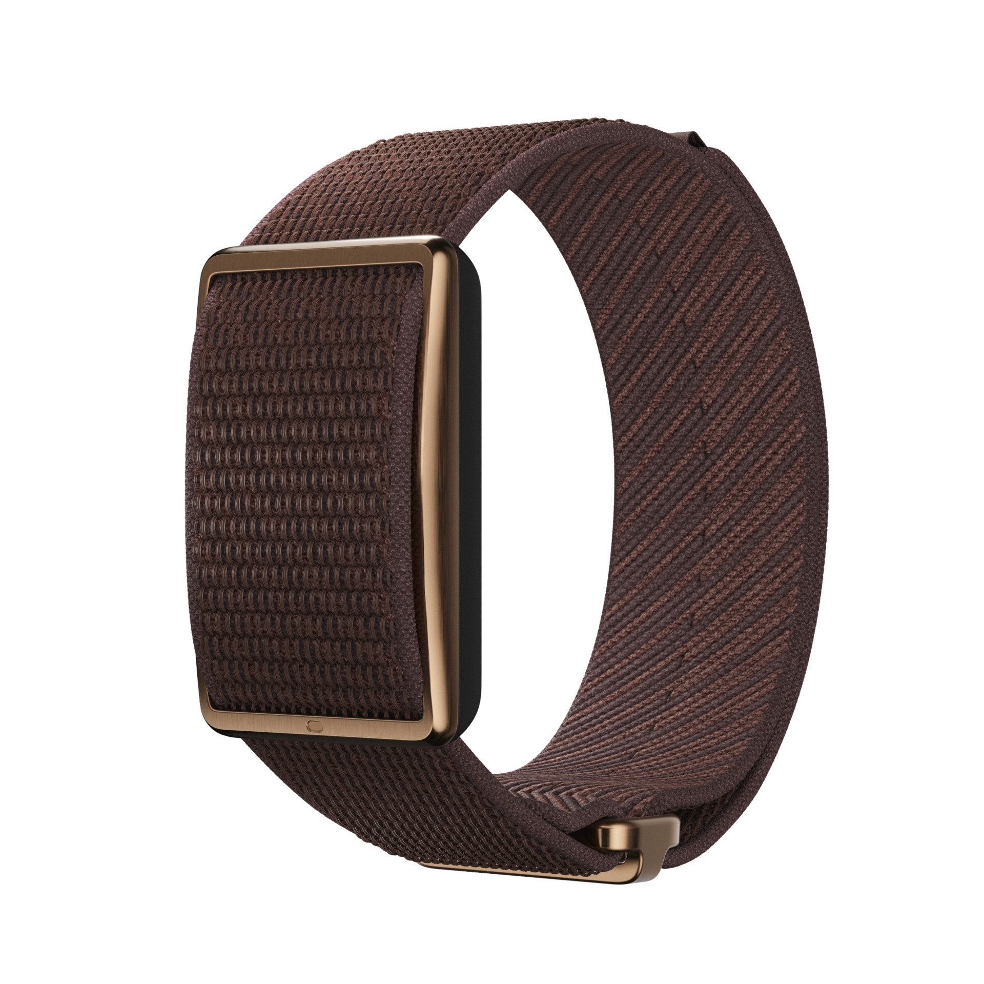 Polar Loop Braun